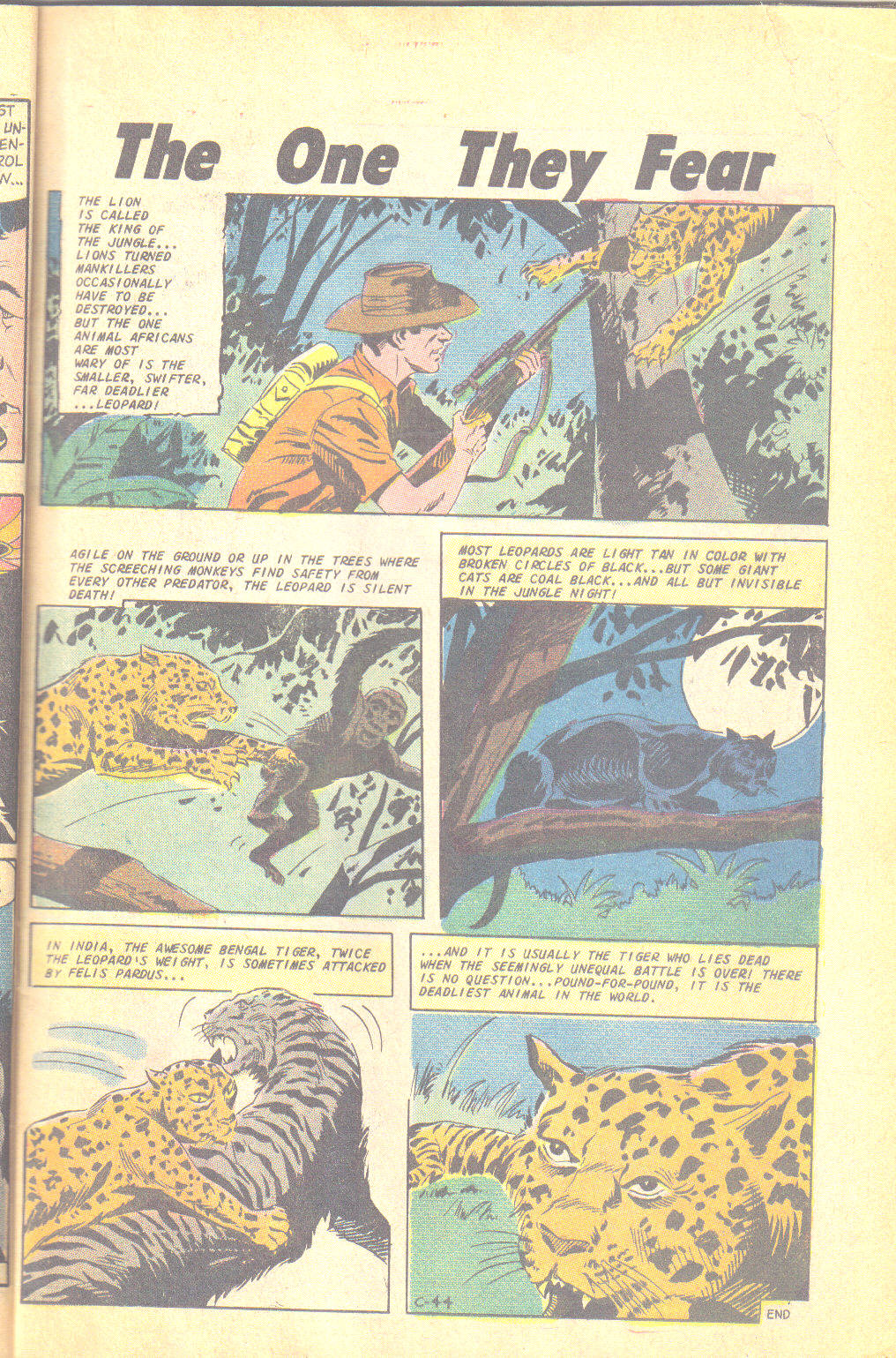 Read online Jungle Jim (1969) comic -  Issue #22 - 12