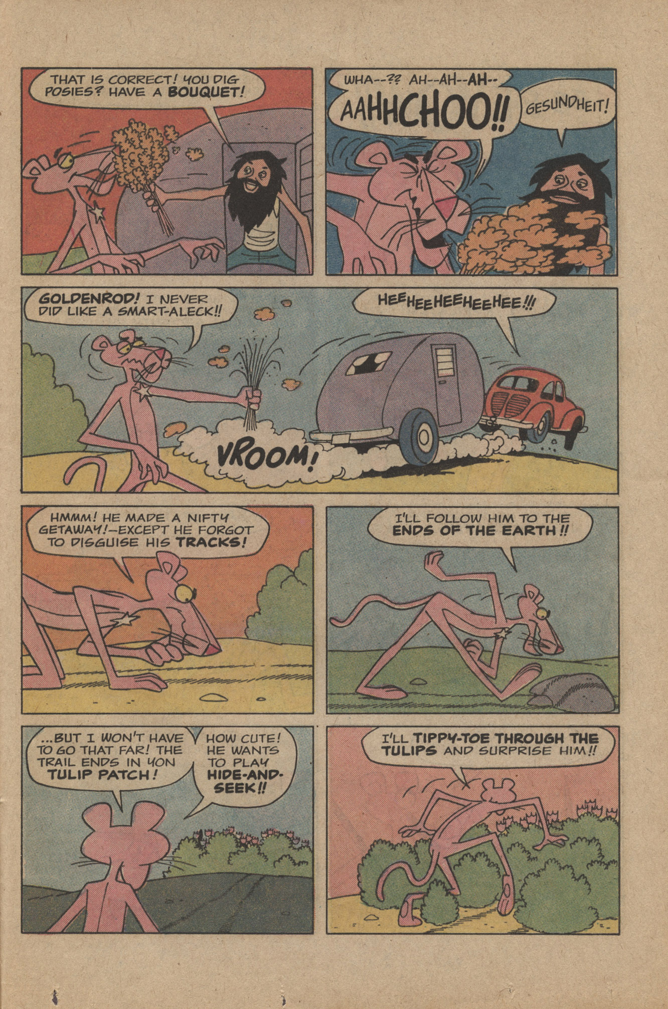 Read online The Pink Panther (1971) comic -  Issue #20 - 25
