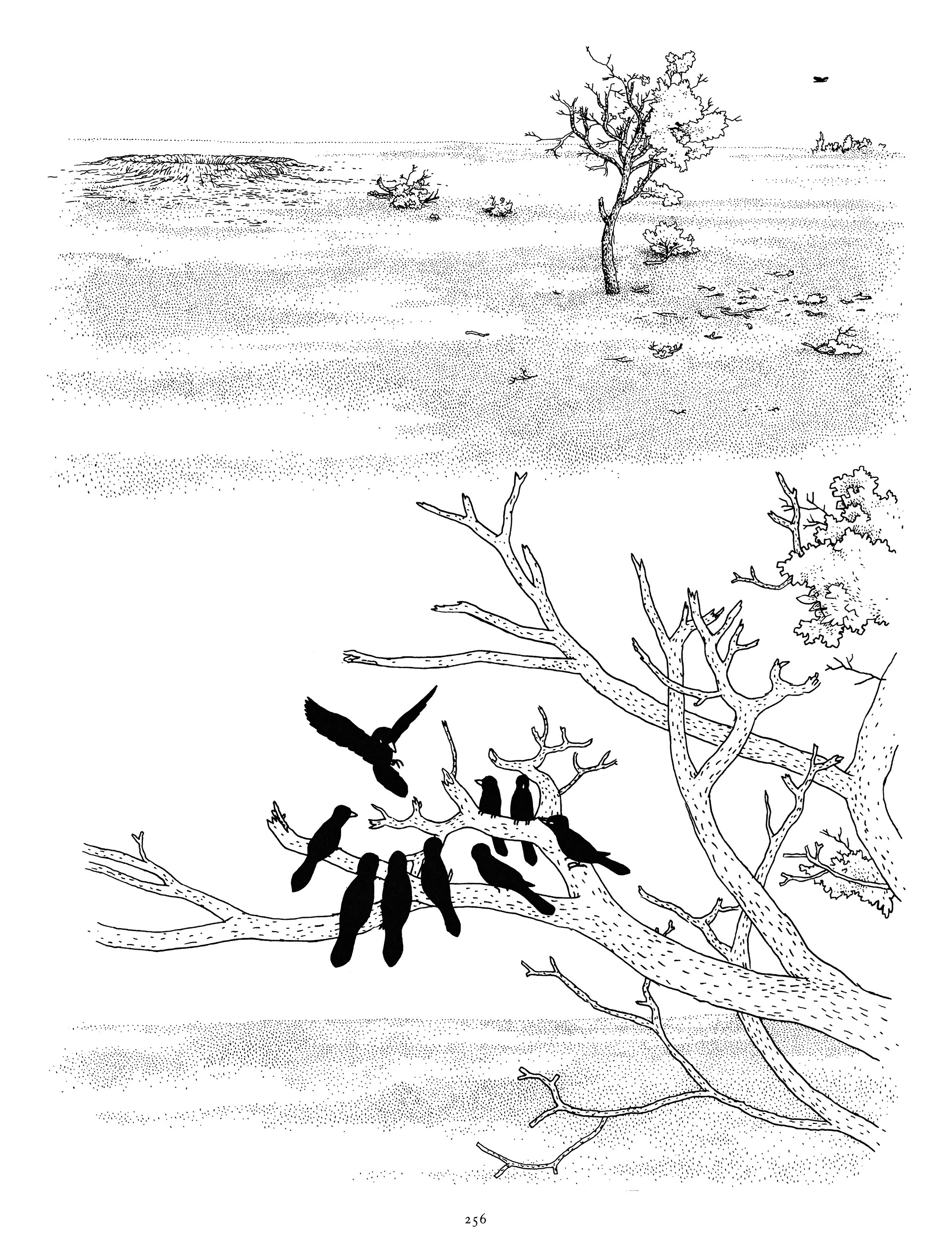 Read online Big Questions comic -  Issue # TPB (Part 3) - 66