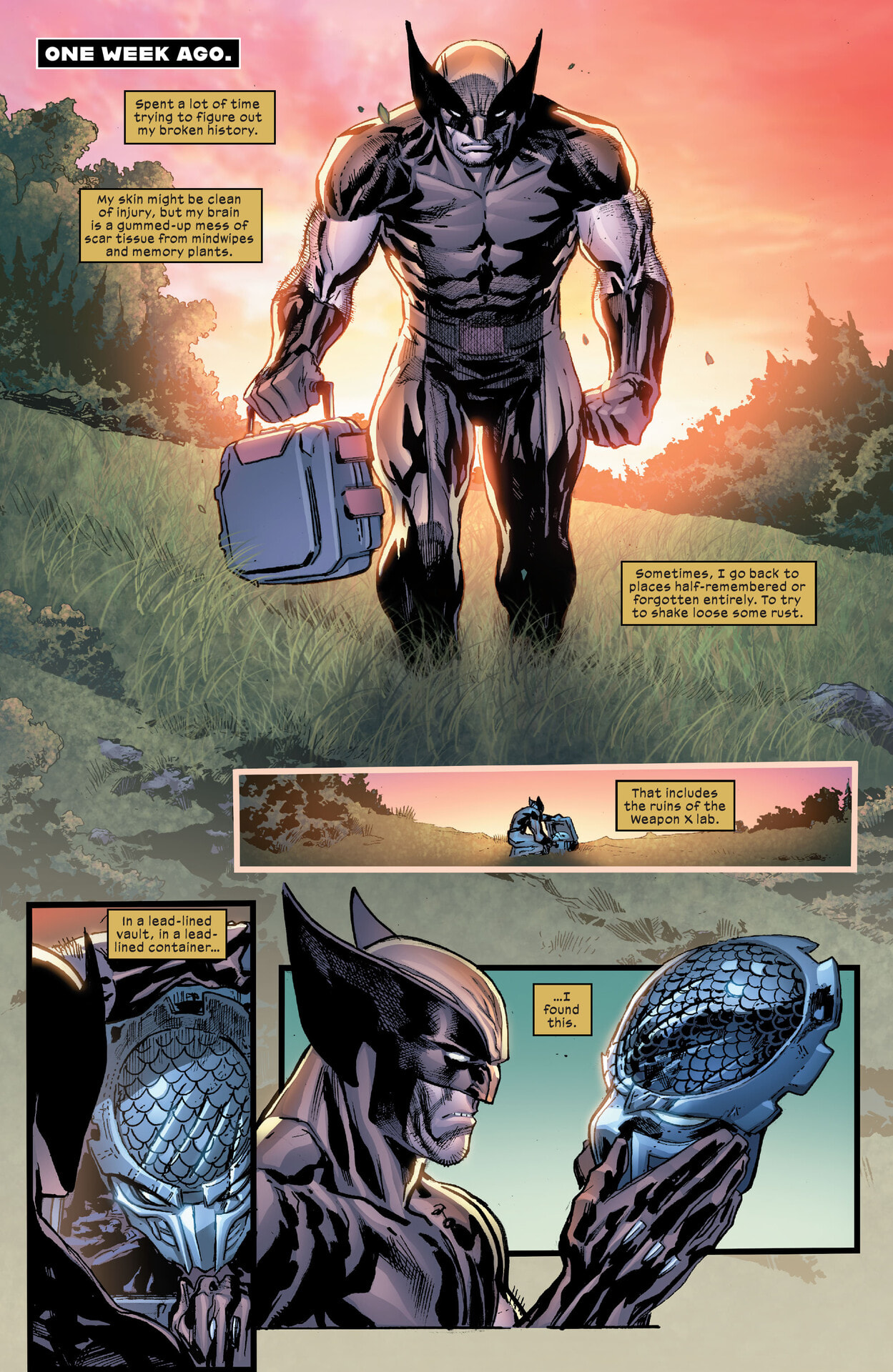 Read online Predator vs. Wolverine comic -  Issue #3 - 21