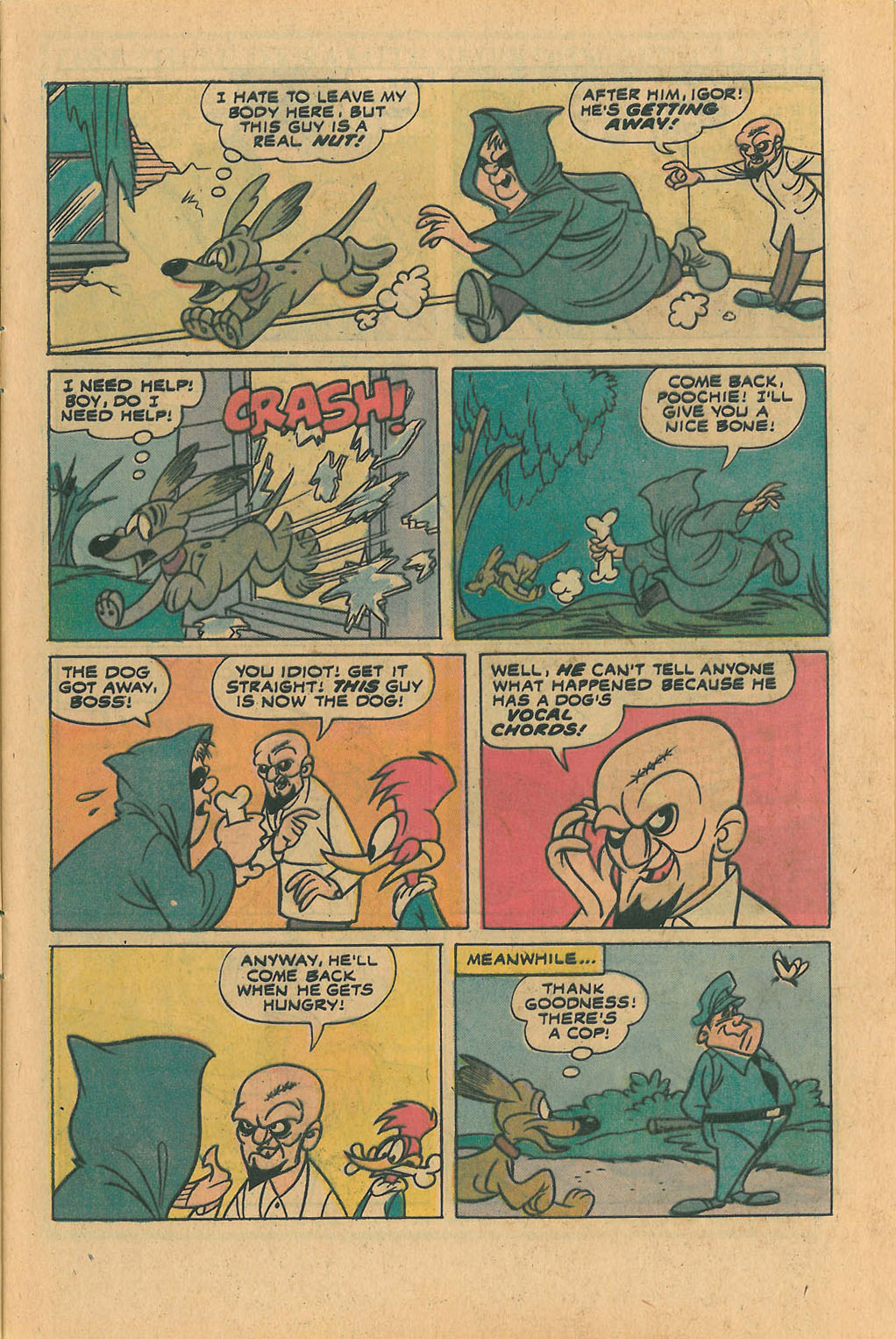 Read online Walter Lantz Woody Woodpecker (1962) comic -  Issue #140 - 5
