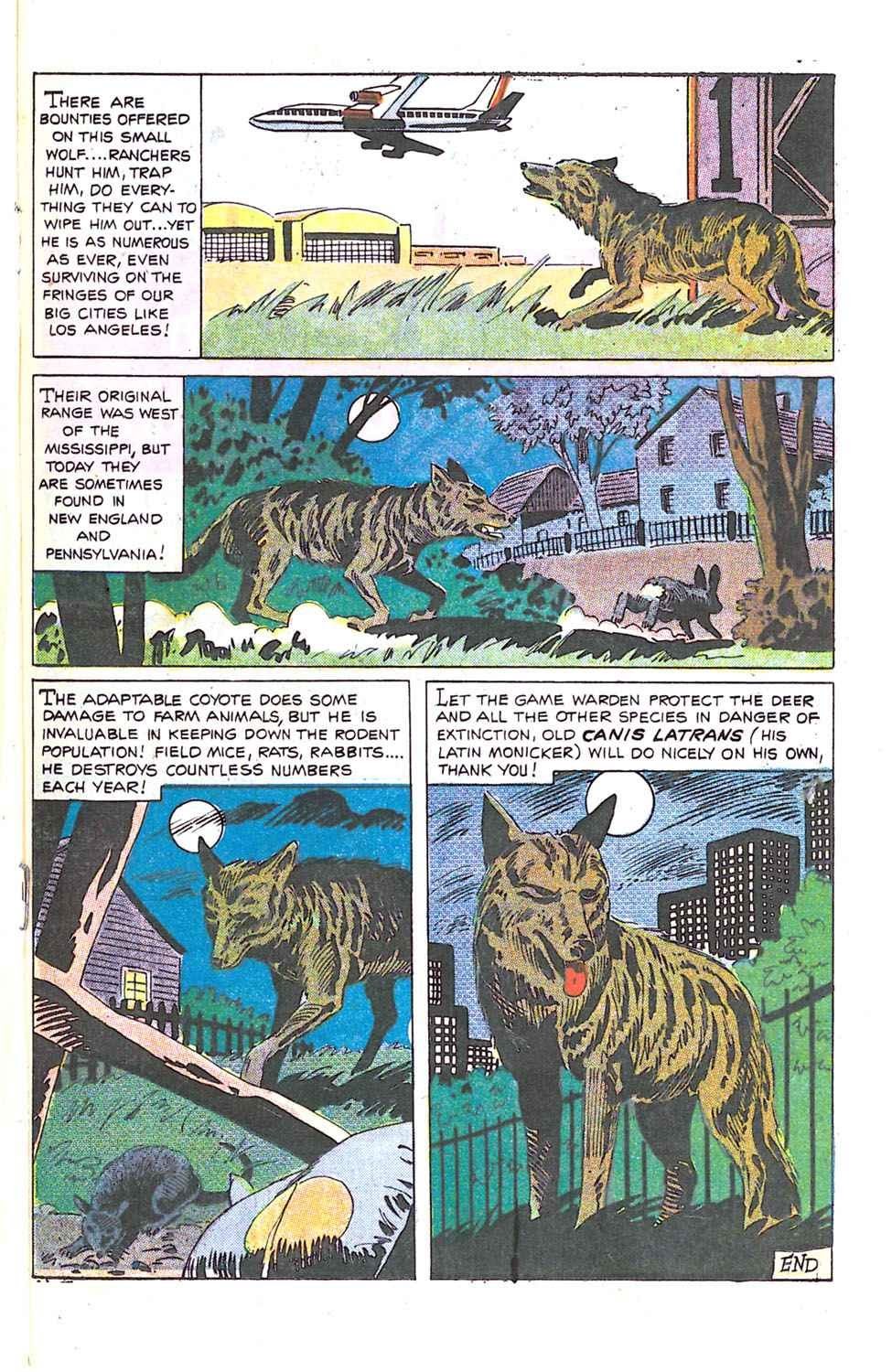 Read online Quick Draw McGraw comic -  Issue #6 - 18