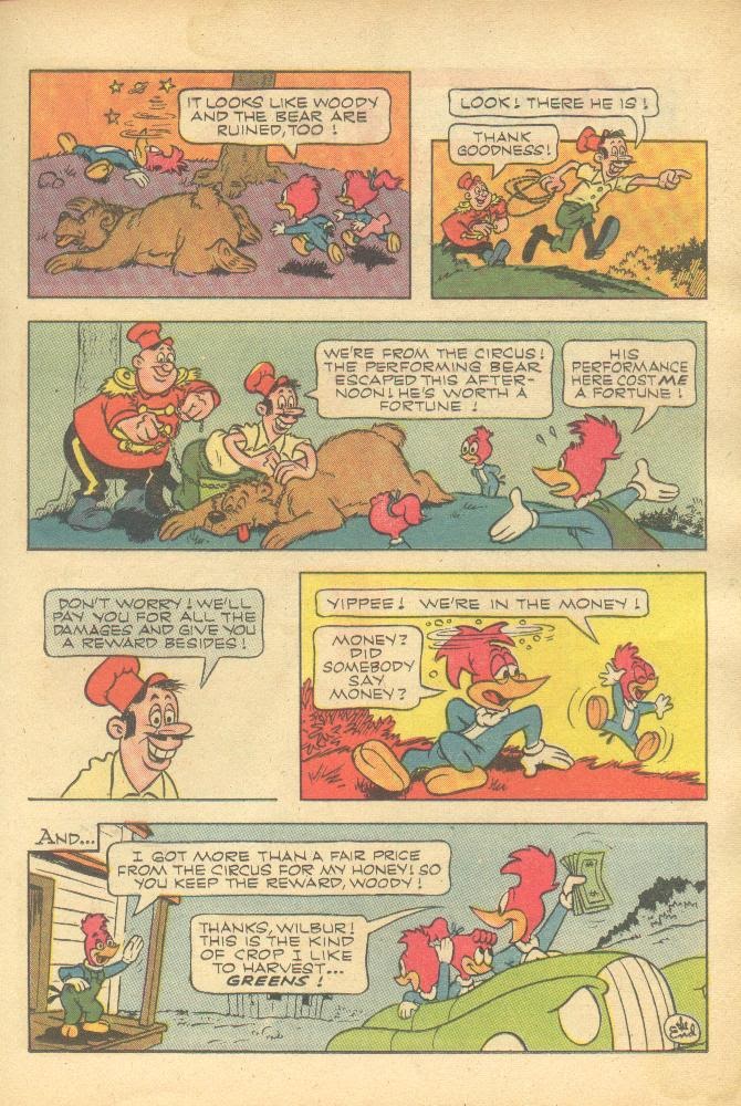 Read online Walter Lantz Woody Woodpecker (1962) comic -  Issue #77 - 17
