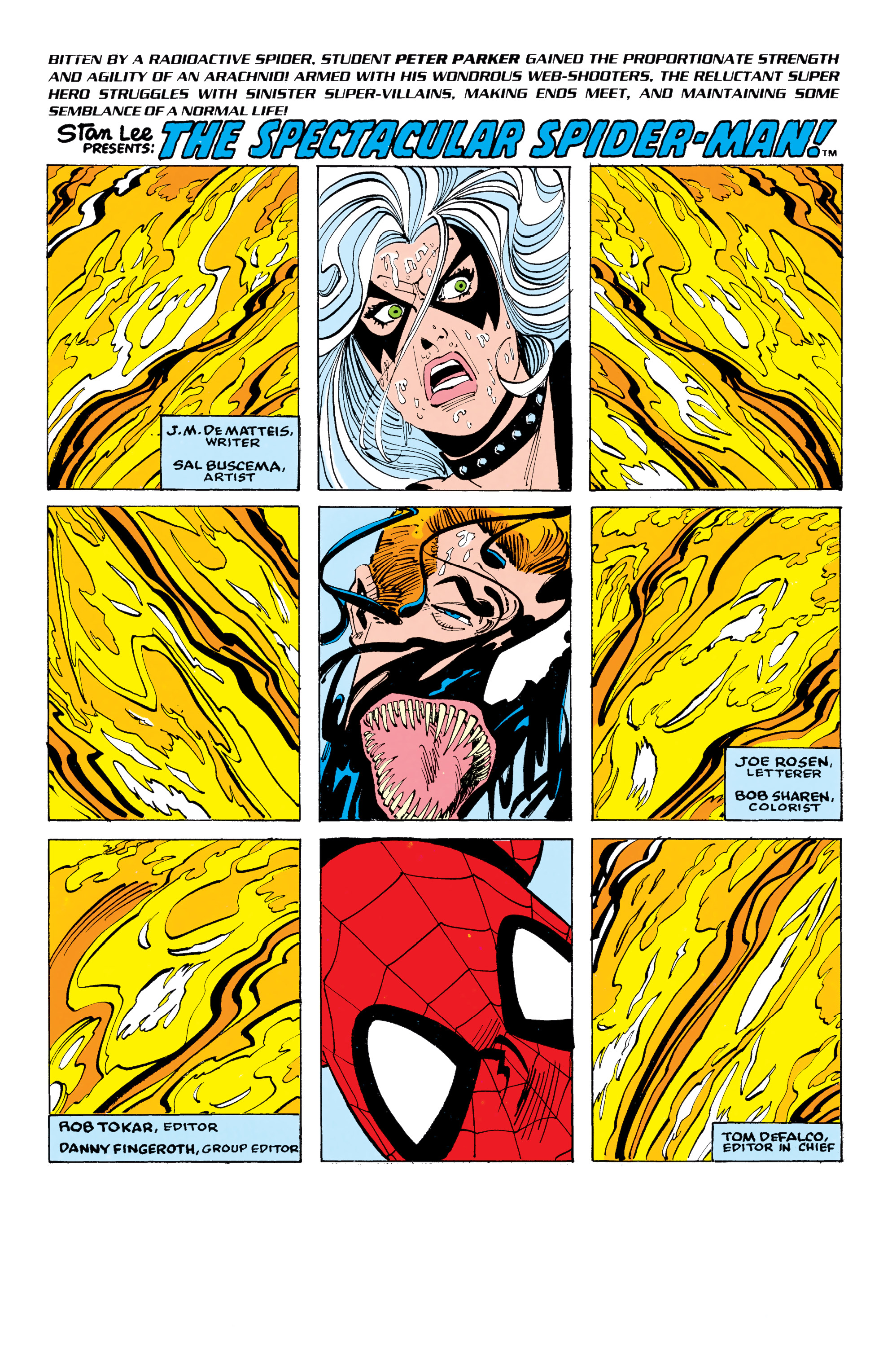 Read online Amazing Spider-Man Epic Collection comic -  Issue # Maximum Carnage (Part 2) - 1