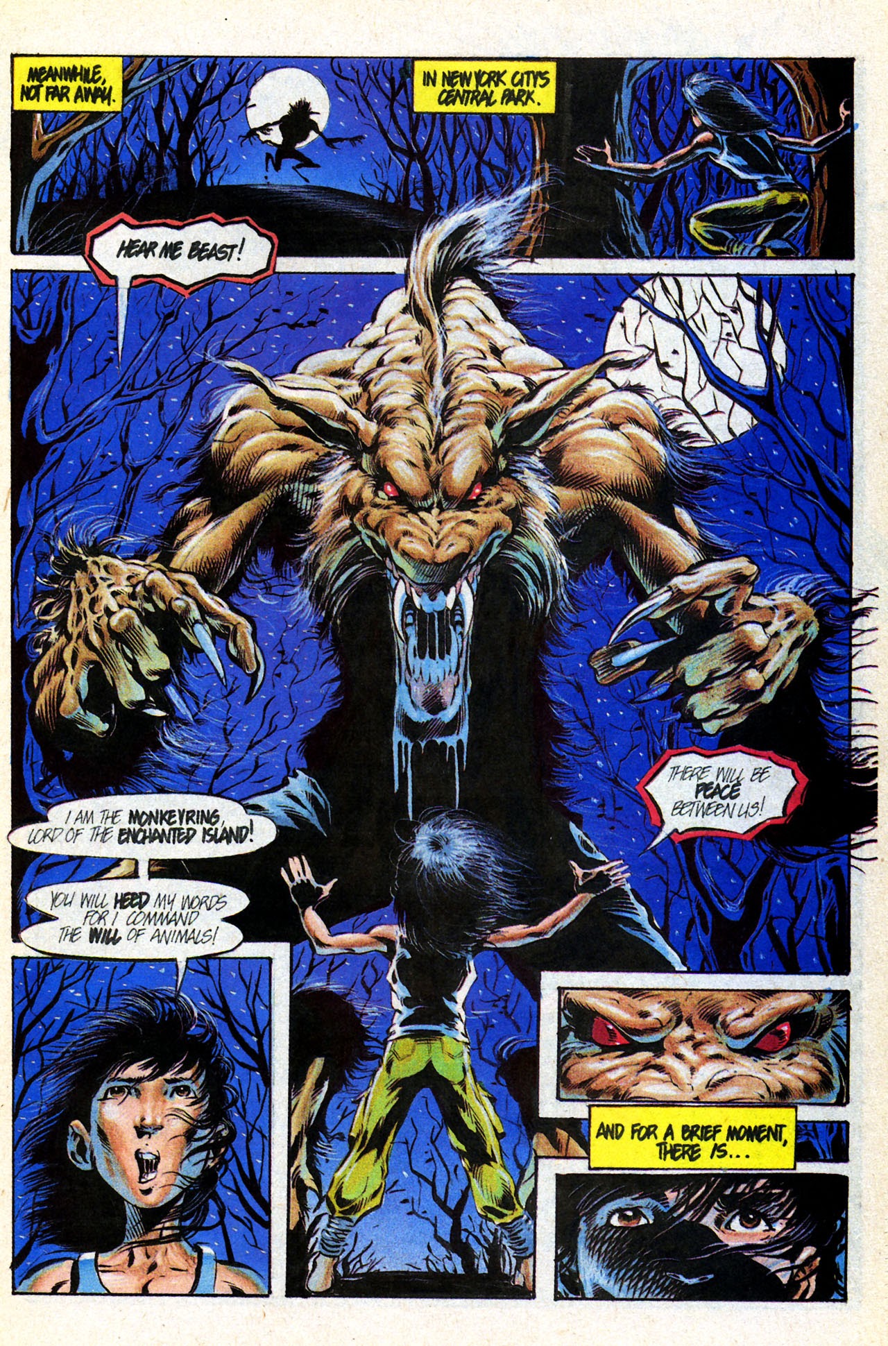 Read online Dragonring (1987) comic -  Issue #14 - 5