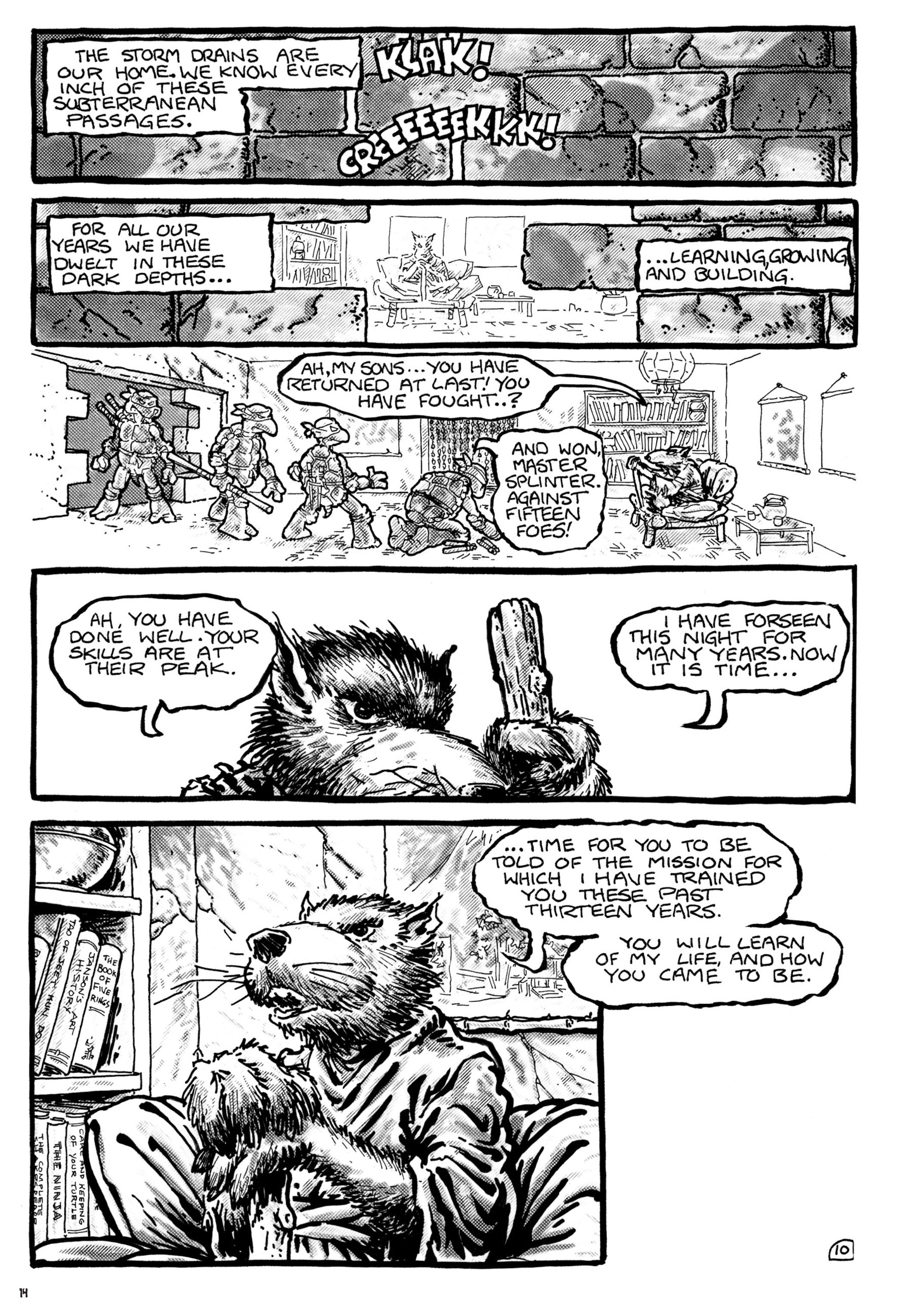 Read online Teenage Mutant Ninja Turtles: The Ultimate Collection comic -  Issue # TPB 1 (Part 1) - 14