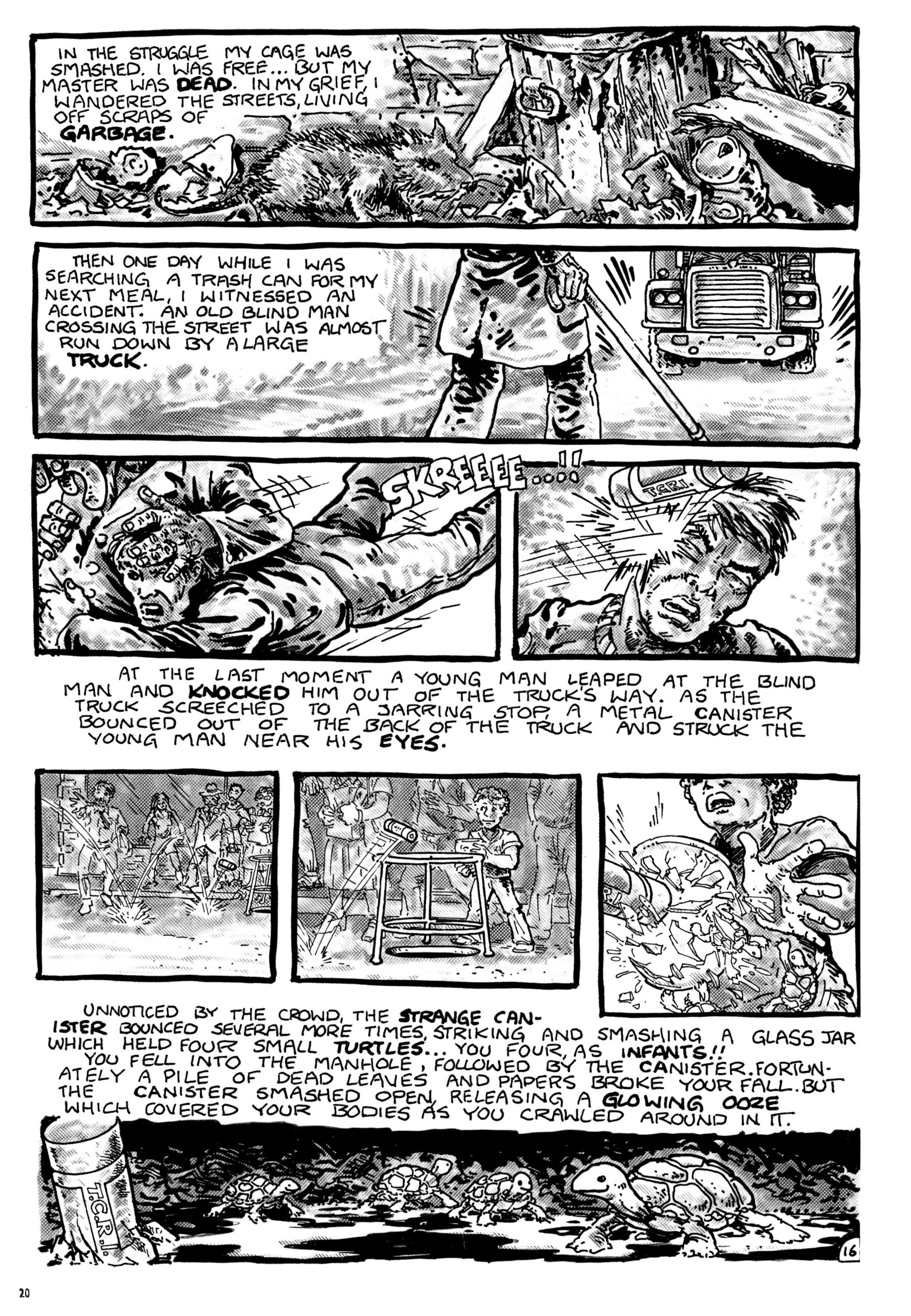 Read online Teenage Mutant Ninja Turtles: The Ultimate Collection comic -  Issue # TPB 1 (Part 1) - 20