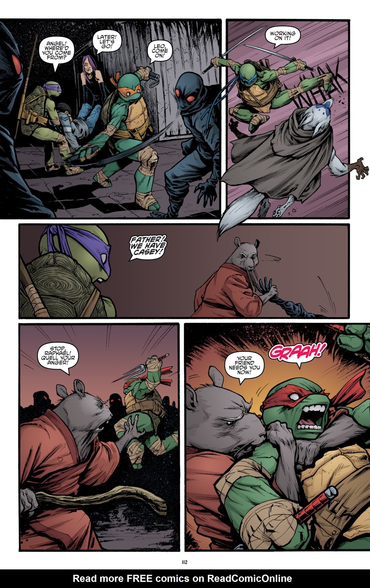Read online Teenage Mutant Ninja Turtles: The IDW Collection comic -  Issue # TPB 3 (Part 2) - 13