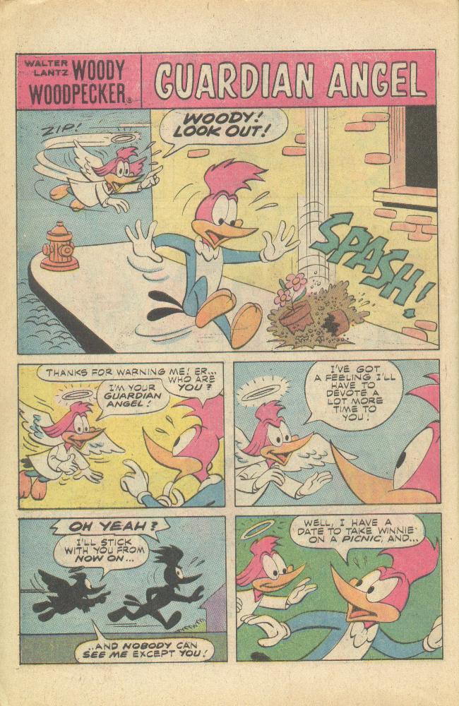 Read online Walter Lantz Woody Woodpecker (1962) comic -  Issue #149 - 21