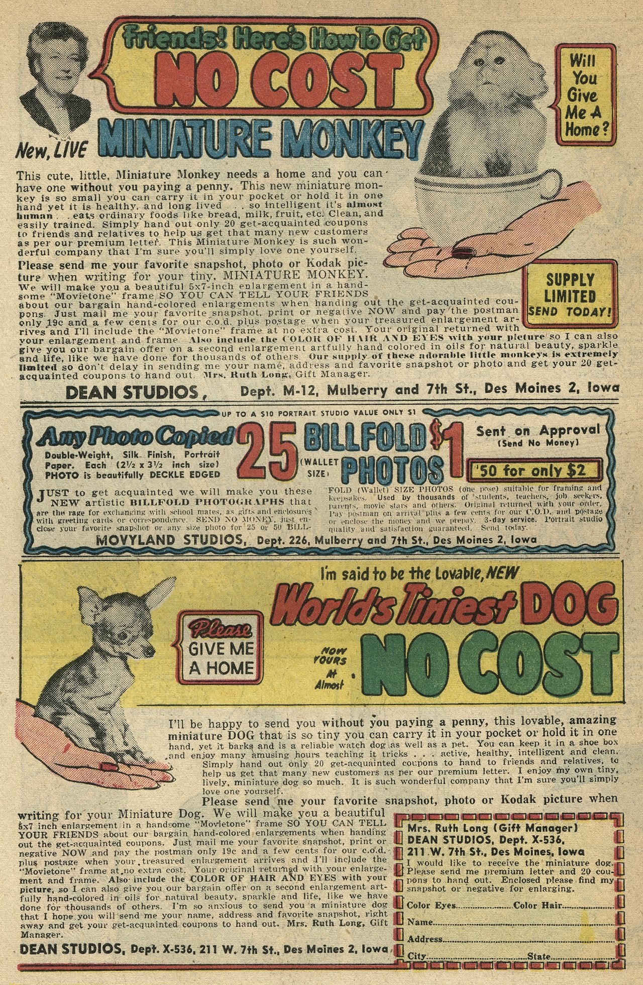 Read online Wyatt Earp Frontier Marshal comic -  Issue #19 - 34