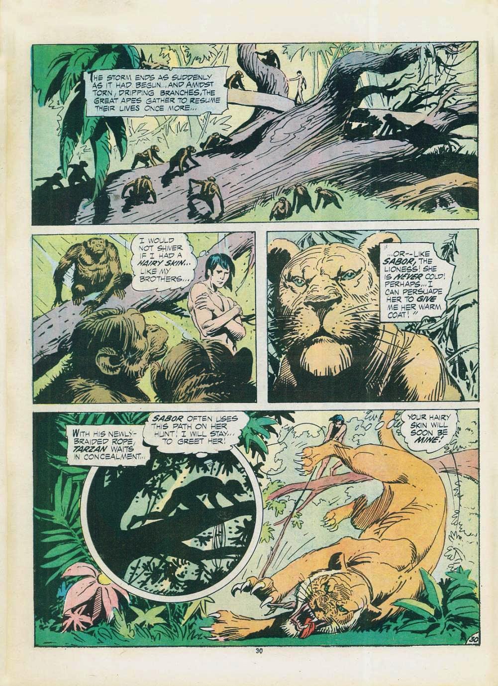 Read online Limited Collectors' Edition comic -  Issue #22 - 32
