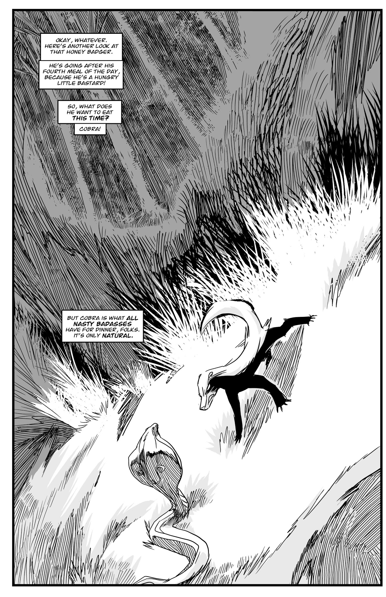 Read online Honey Badger comic -  Issue # Full - 16