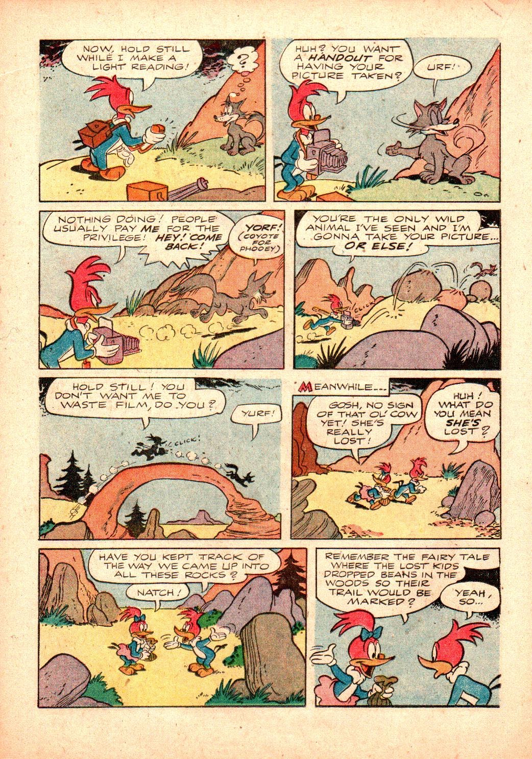 Read online Walter Lantz Woody Woodpecker (1952) comic -  Issue #24 - 18