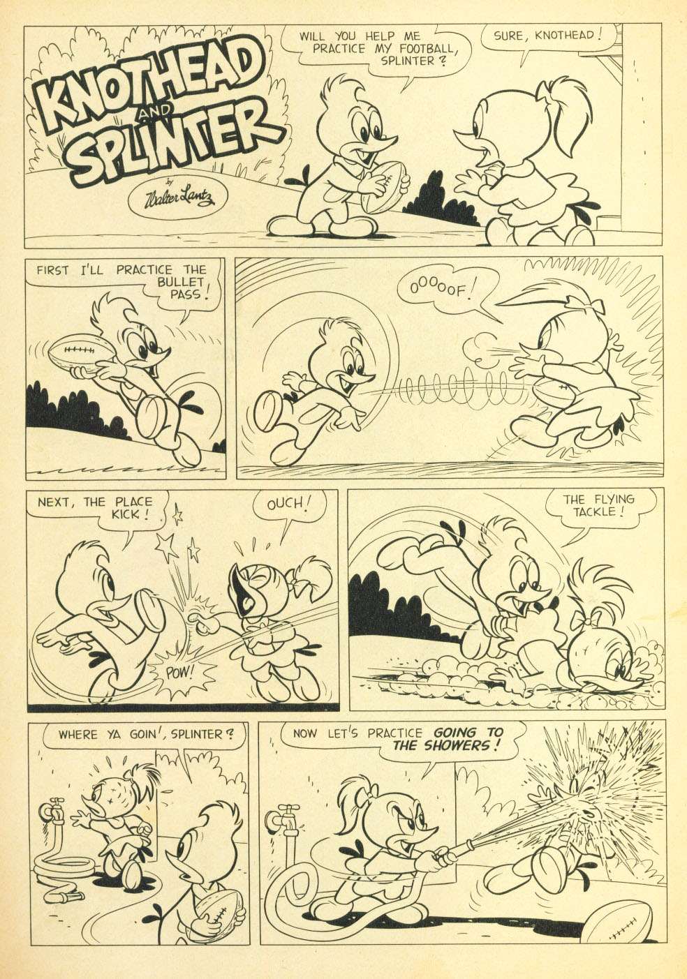 Read online Walter Lantz Woody Woodpecker (1952) comic -  Issue #37 - 35