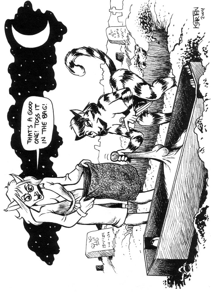 Read online Wild! (2003) comic -  Issue #13 - 30