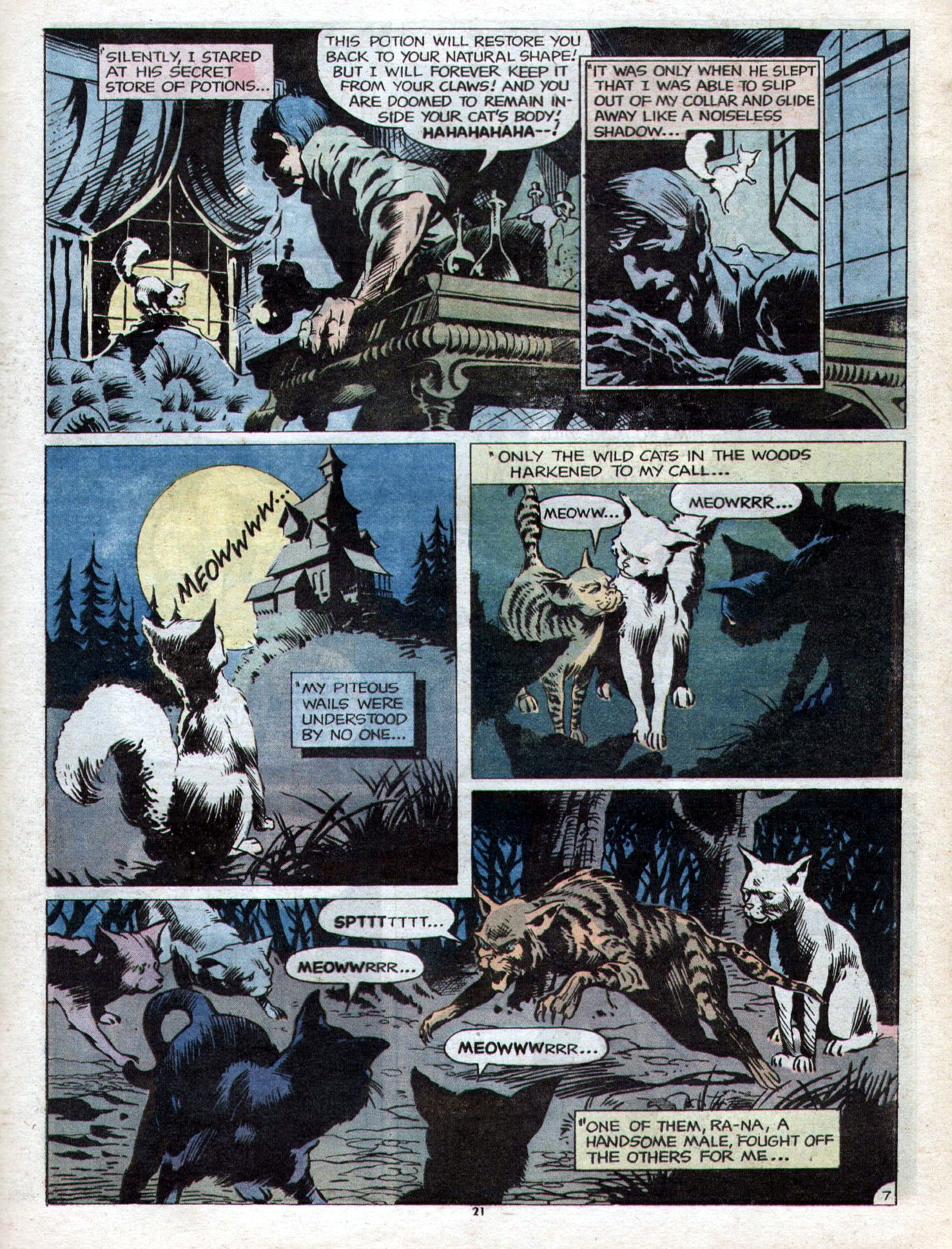 Read online Limited Collectors' Edition comic -  Issue #23 - 22