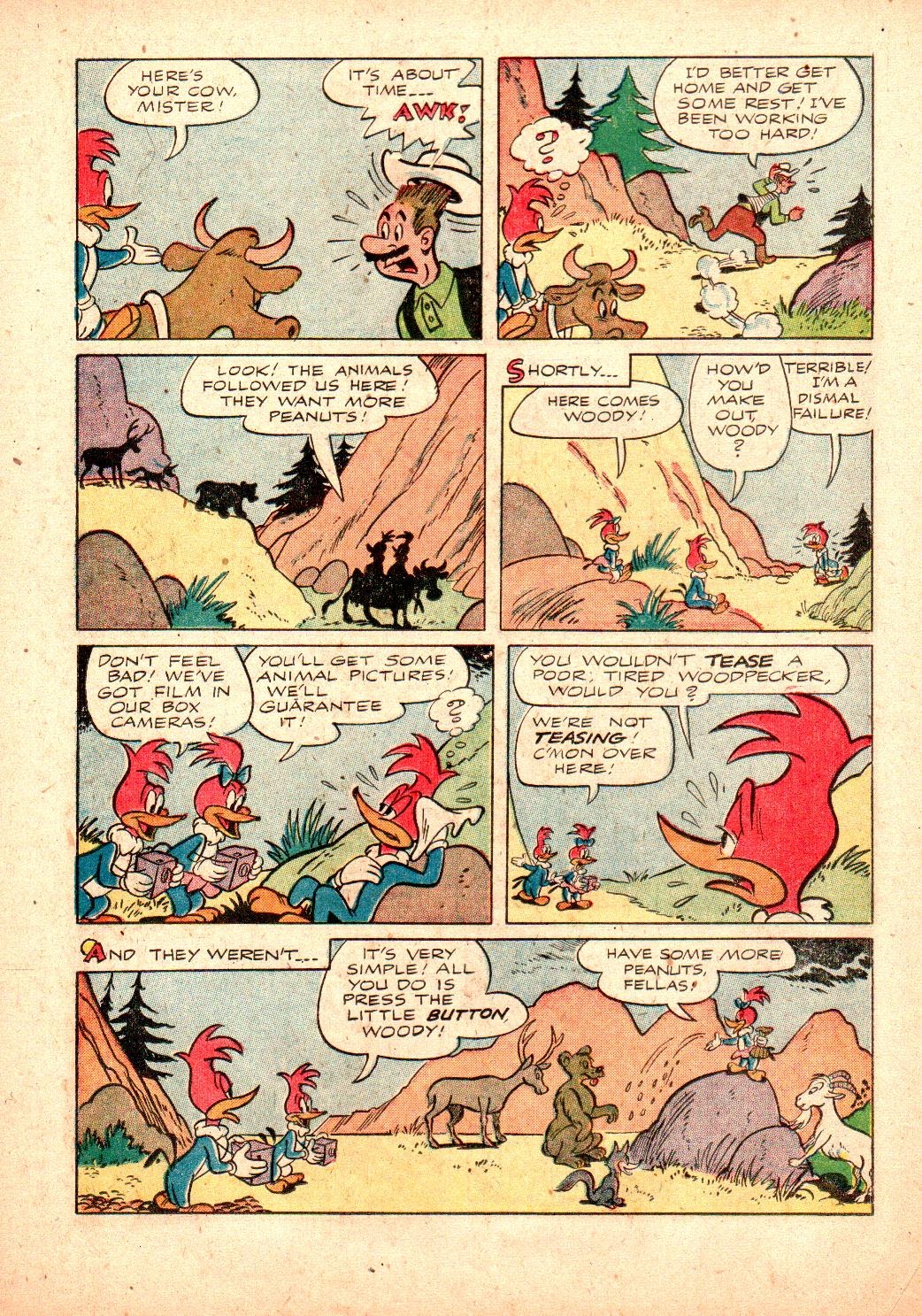 Read online Walter Lantz Woody Woodpecker (1952) comic -  Issue #24 - 22