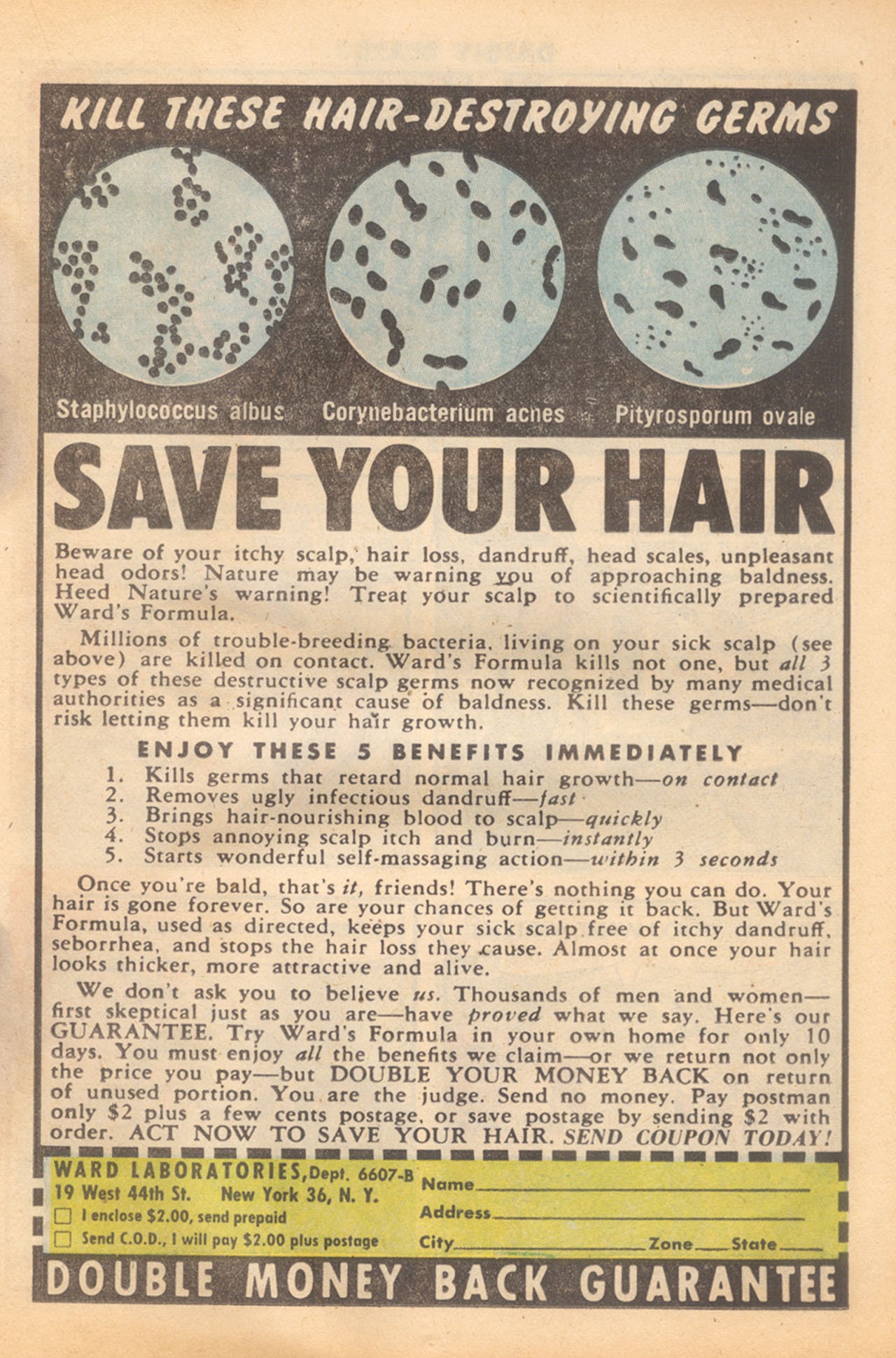 Read online Danny Blaze comic -  Issue #2 - 15