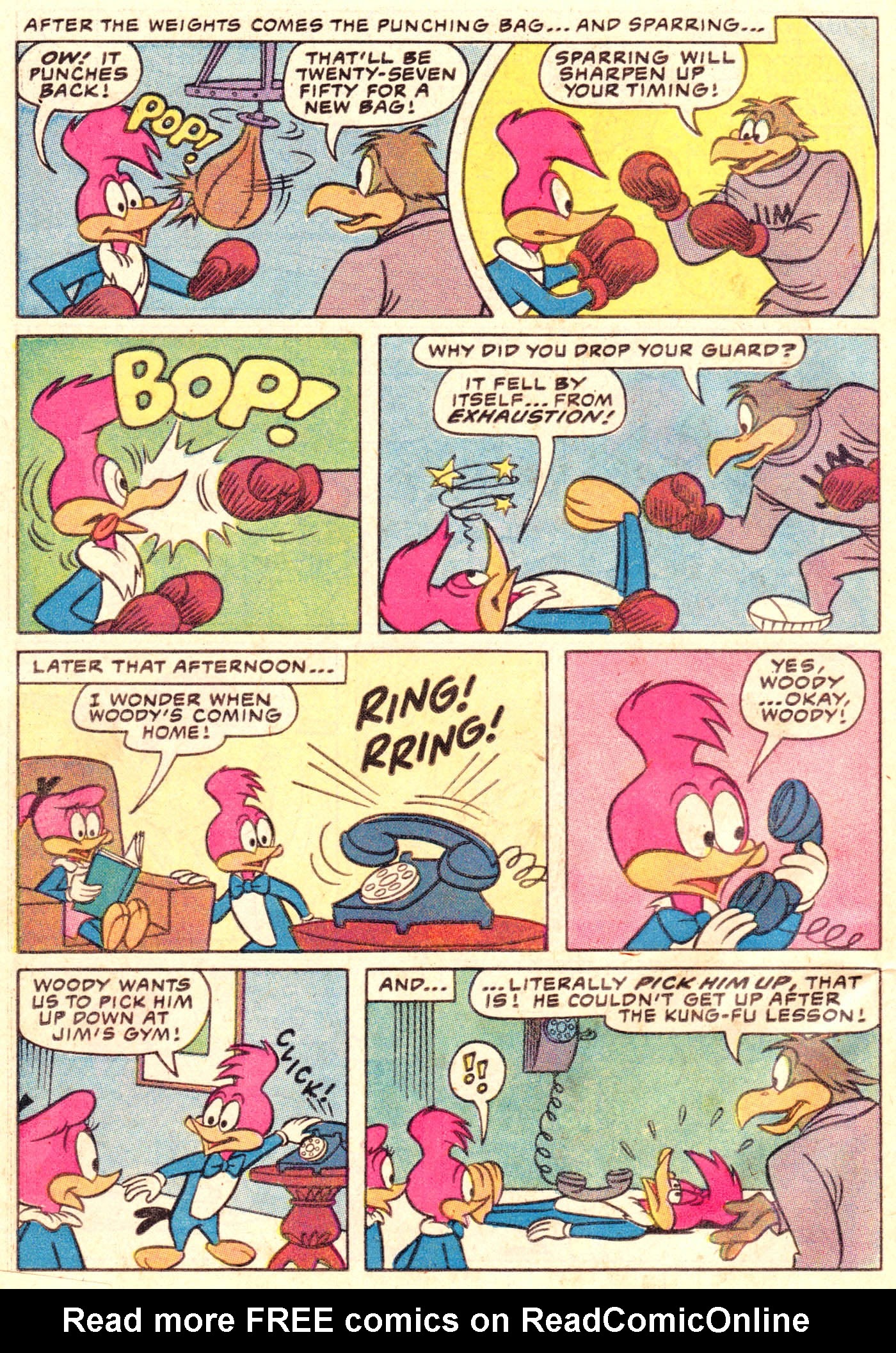 Read online Walter Lantz Woody Woodpecker (1962) comic -  Issue #198 - 22