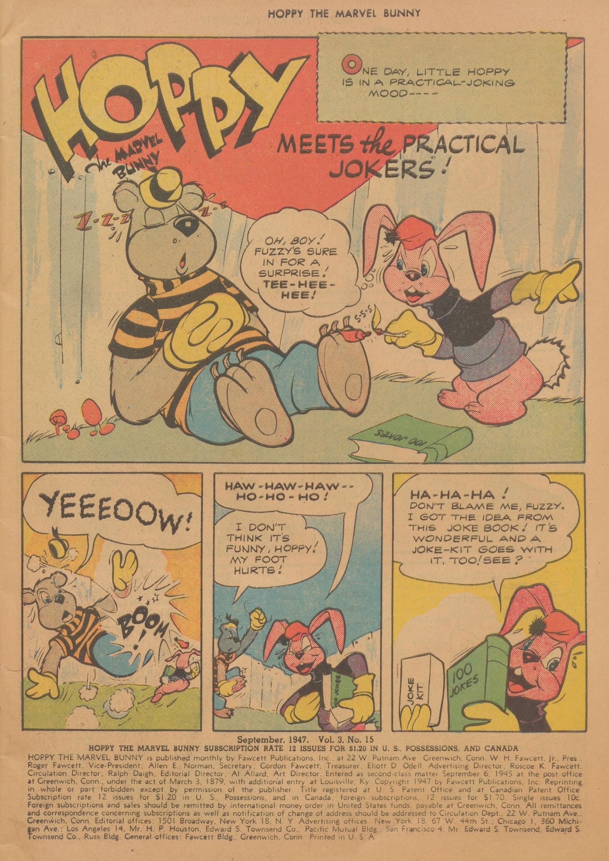 Read online Hoppy The Marvel Bunny comic -  Issue #15 - 3