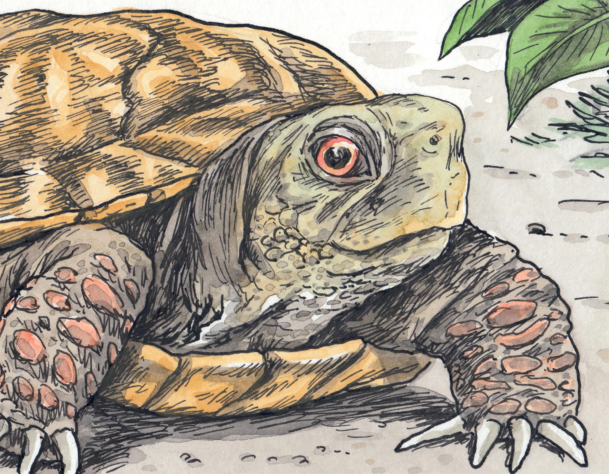 Read online Macanudo: Welcome to Elsewhere comic -  Issue # TPB (Part 2) - 65