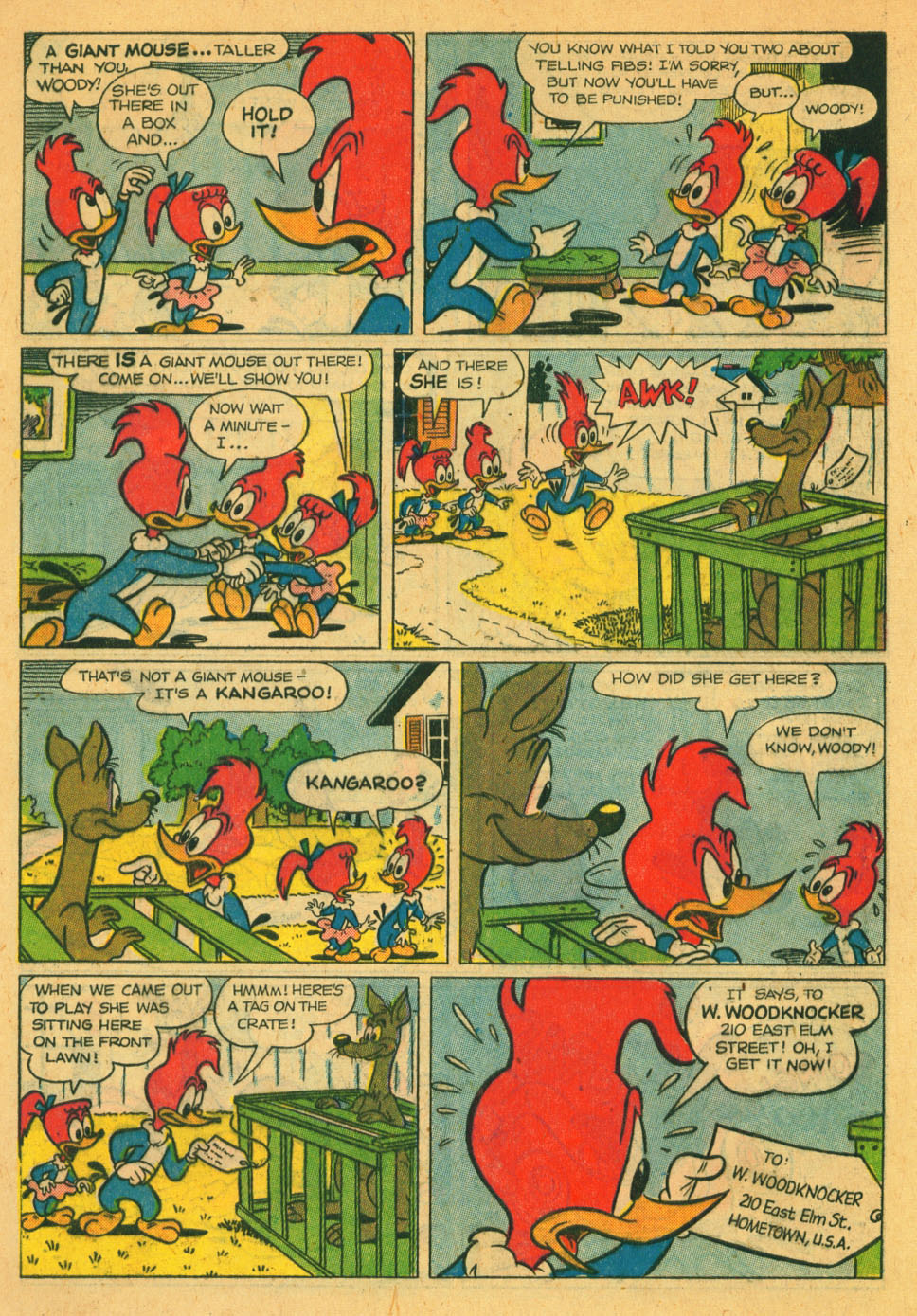Read online Walter Lantz Woody Woodpecker (1952) comic -  Issue #40 - 5