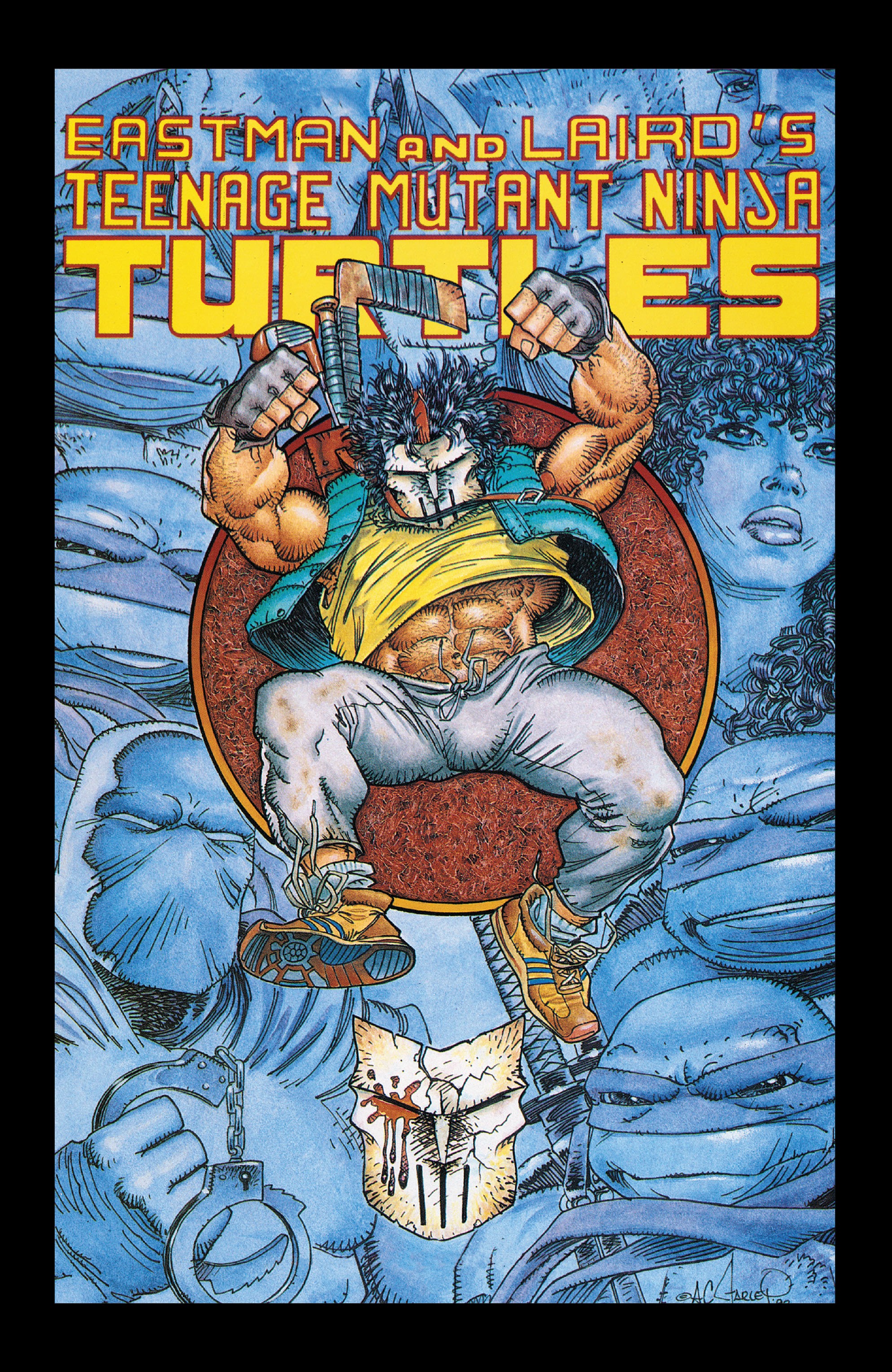 Read online Teenage Mutant Ninja Turtles: Best Of comic -  Issue # Casey Jones - 42