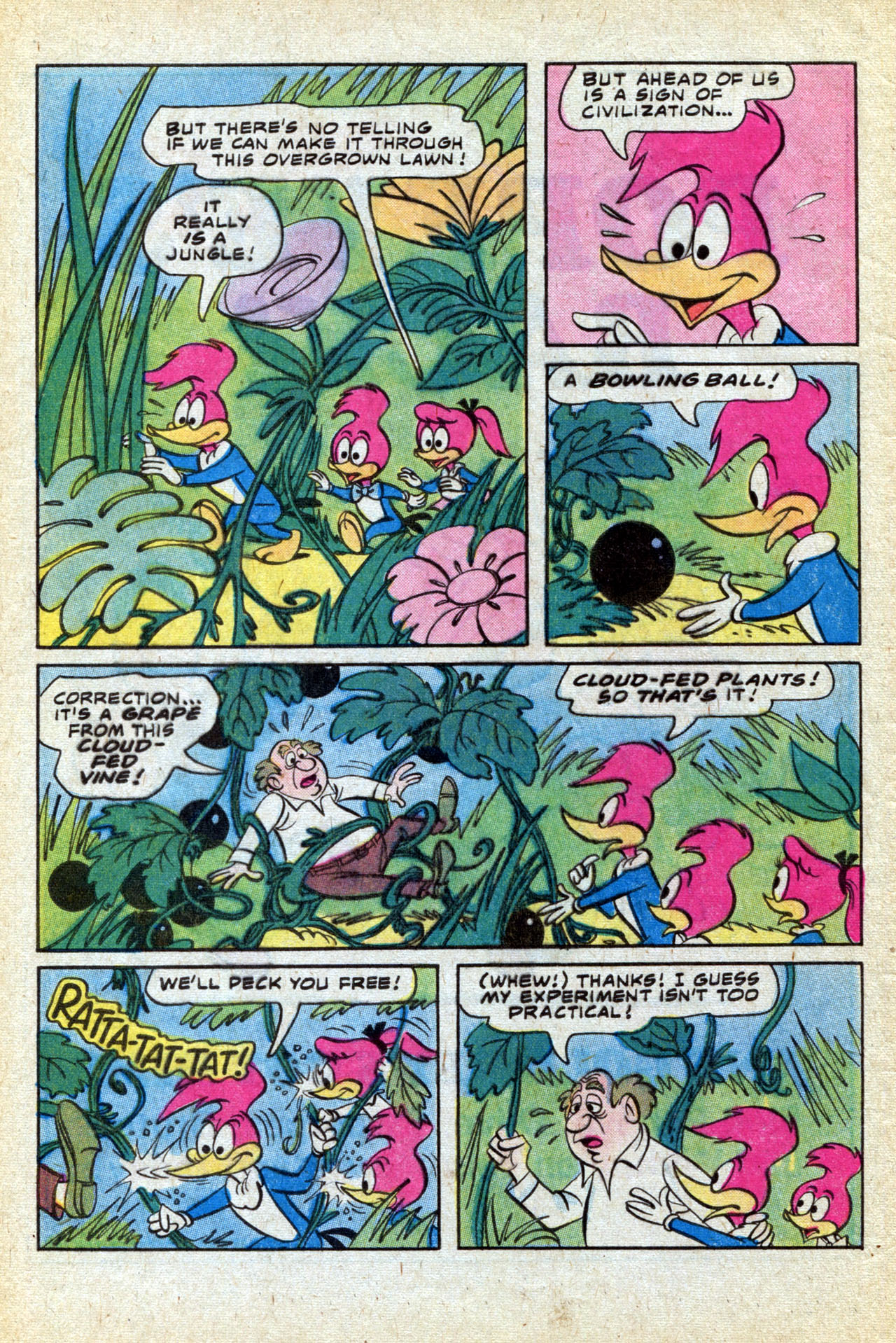 Read online Walter Lantz Woody Woodpecker (1962) comic -  Issue #170 - 32