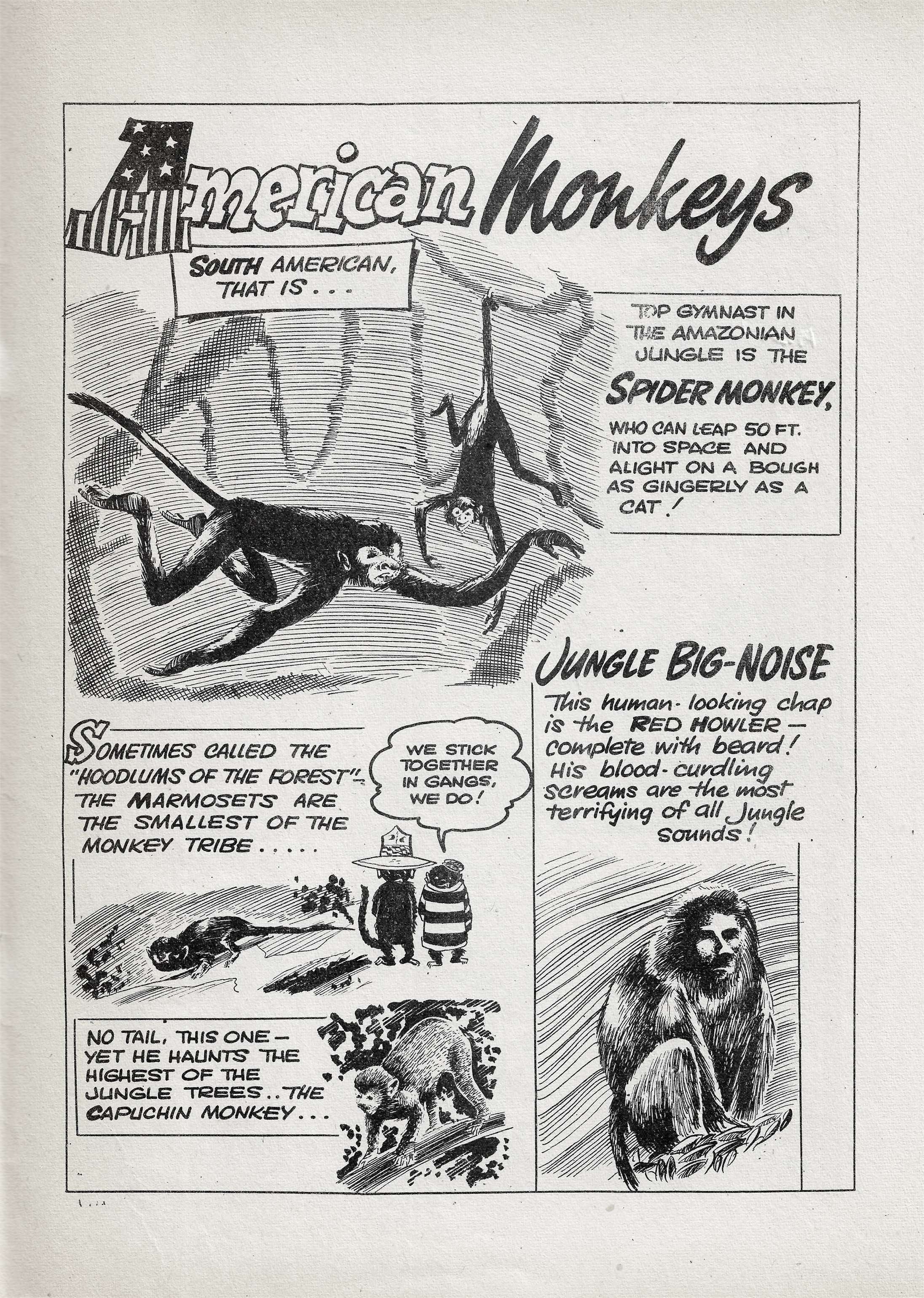 Read online Young Marvelman comic -  Issue #358 - 19