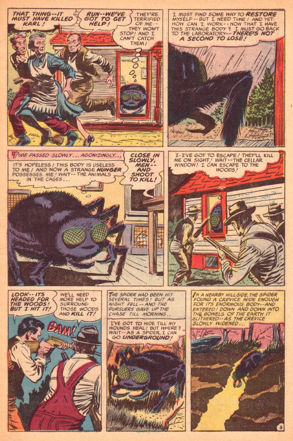 Read online Adventures Into The Unknown comic -  Issue #50 - 6