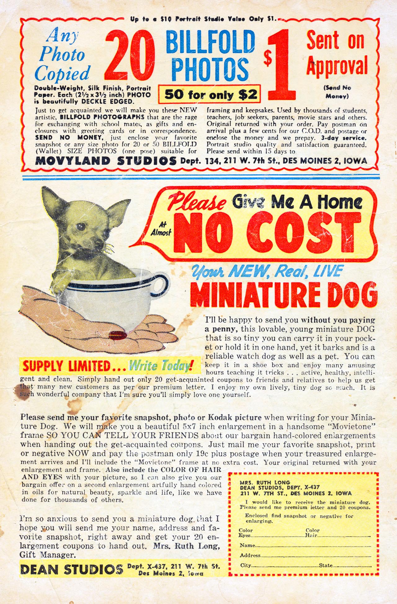 Read online Patsy and Hedy comic -  Issue #44 - 36