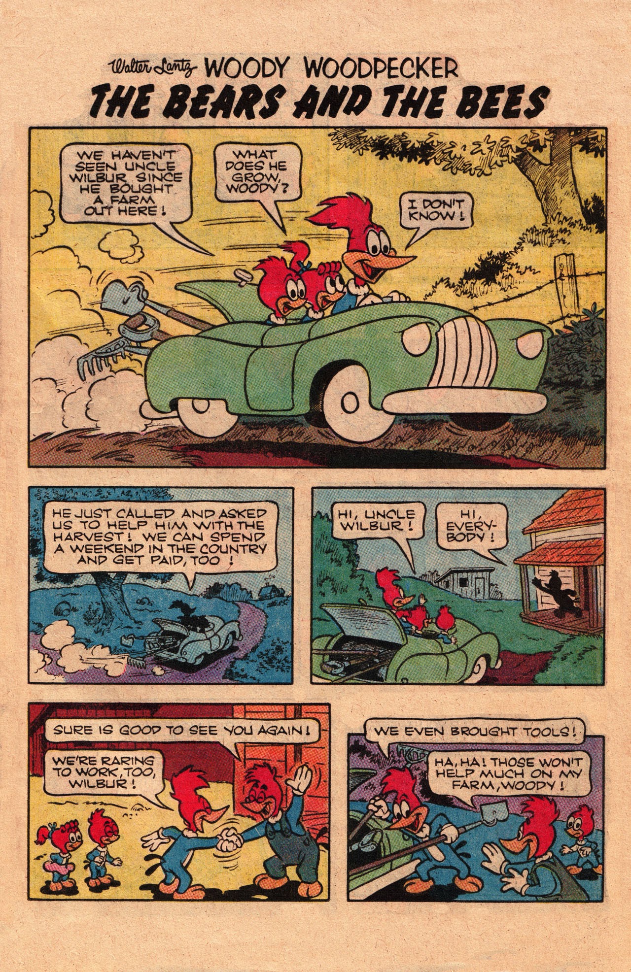Read online Walter Lantz Woody Woodpecker (1962) comic -  Issue #199 - 25