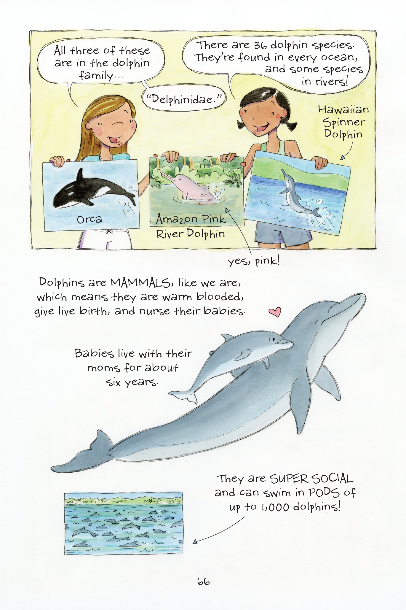 Read online The Science of Surfing: A Surfside Girls Guide to the Ocean comic -  Issue # TPB - 66