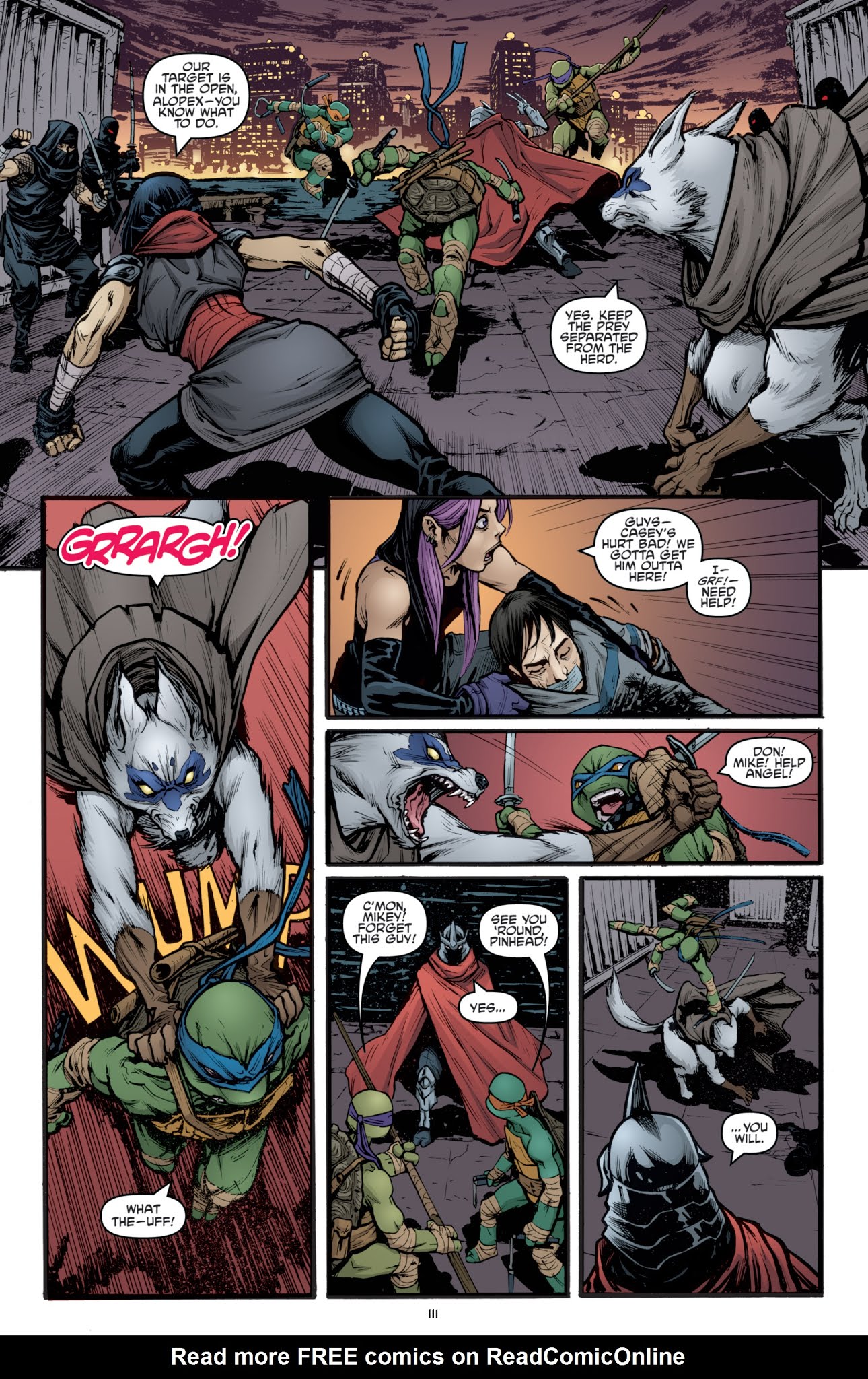 Read online Teenage Mutant Ninja Turtles: The IDW Collection comic -  Issue # TPB 3 (Part 2) - 12