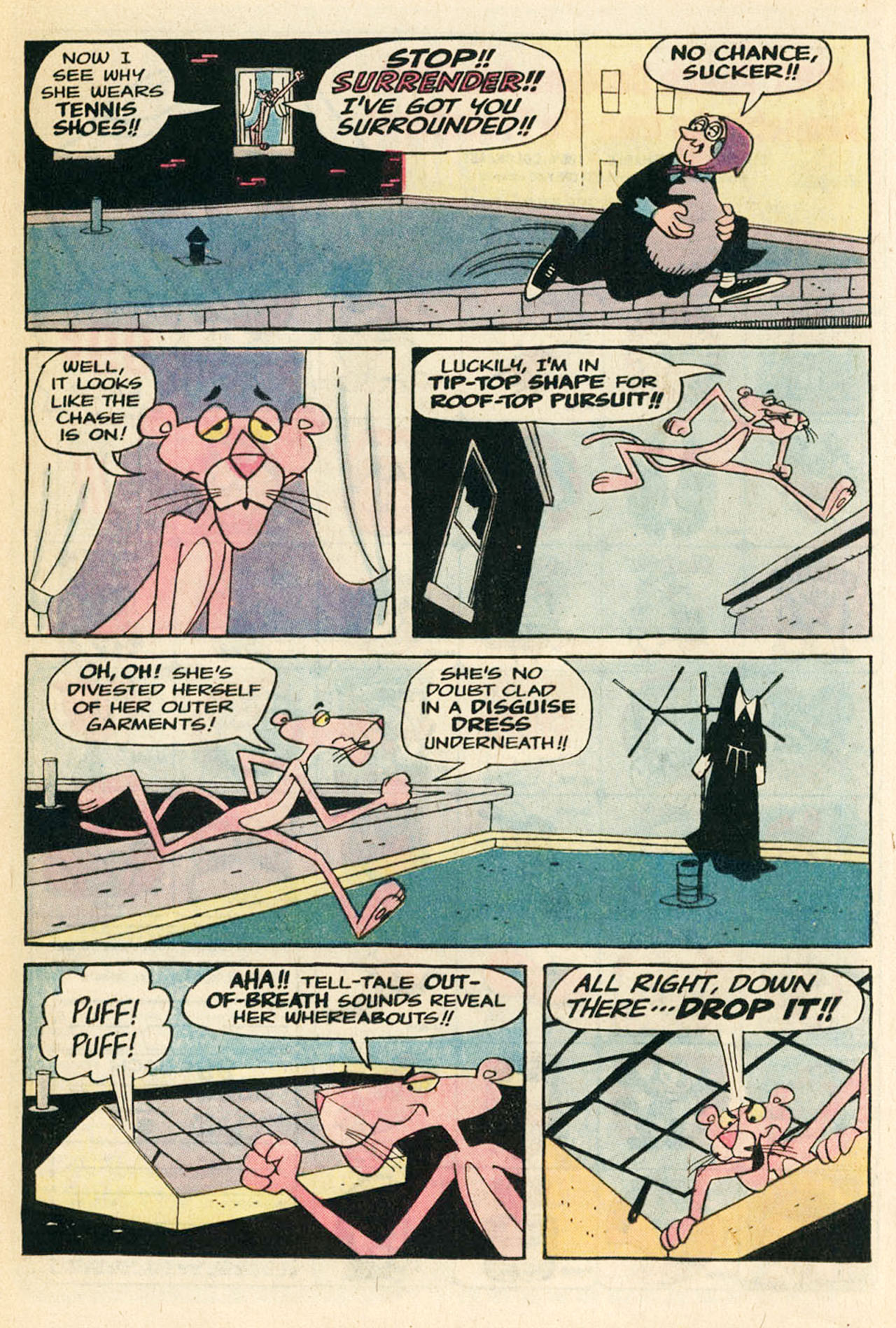 Read online The Pink Panther (1971) comic -  Issue #45 - 16
