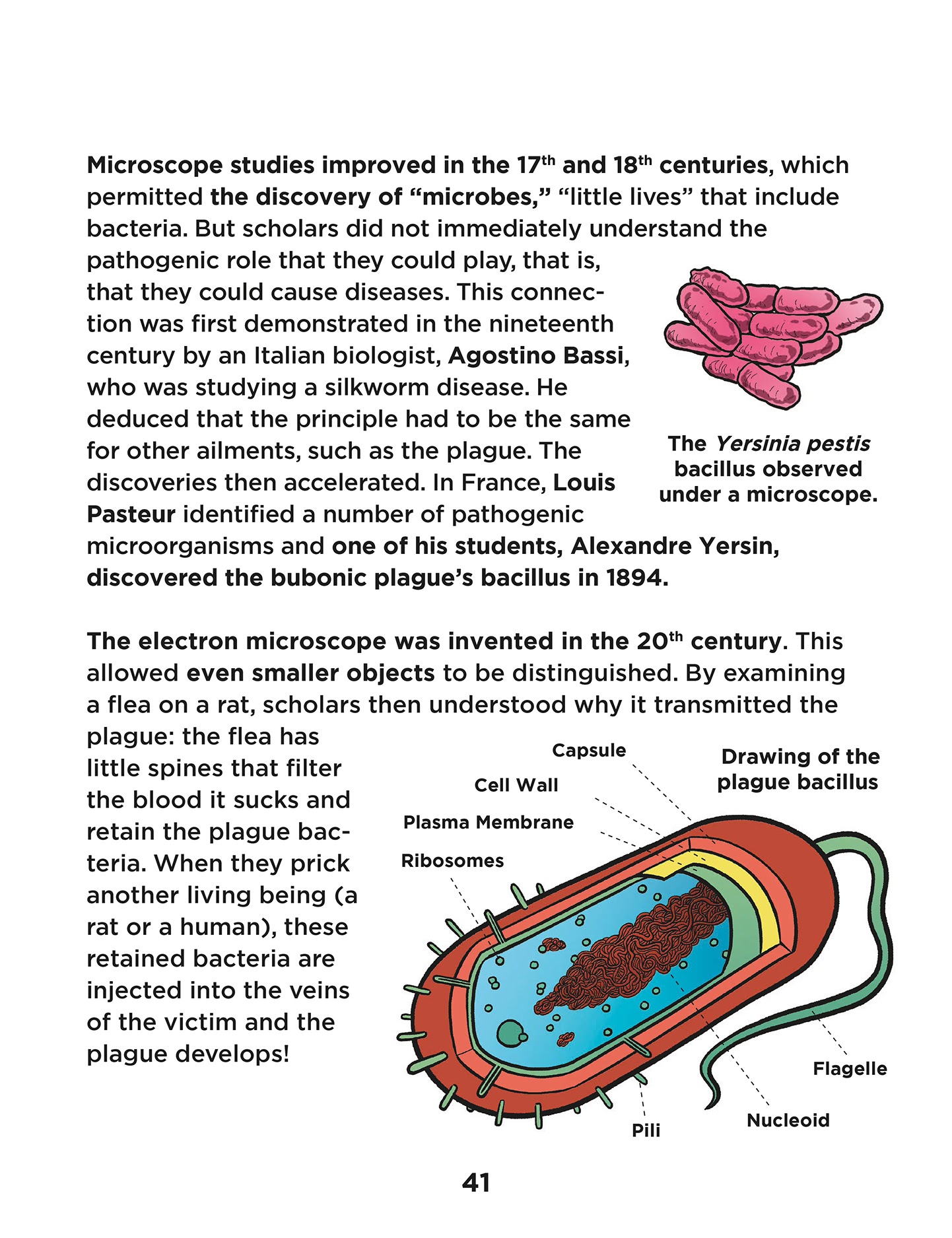 Read online Magical History Tour comic -  Issue #5 - 43