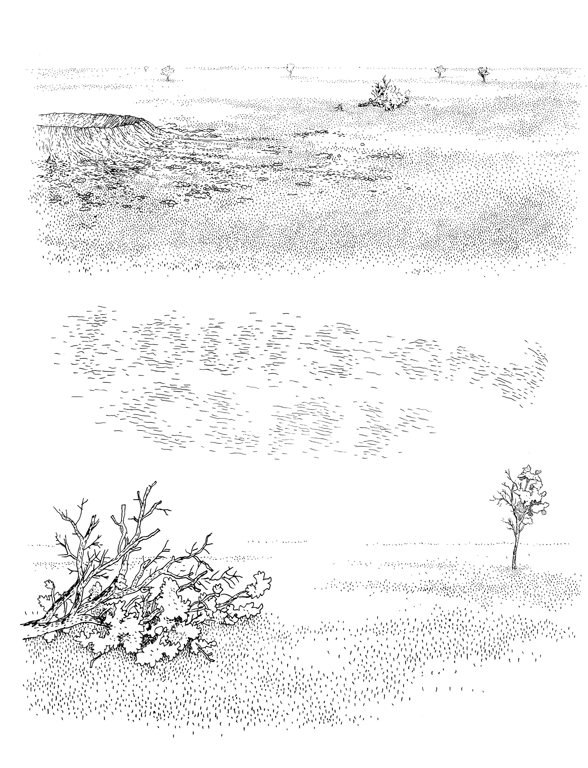 Read online Big Questions comic -  Issue # TPB (Part 3) - 94