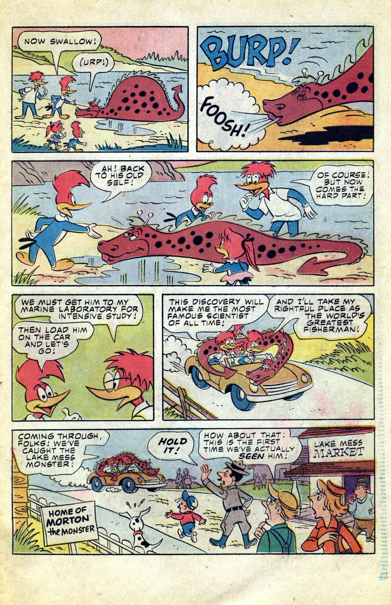 Read online Walter Lantz Woody Woodpecker (1962) comic -  Issue #156 - 31