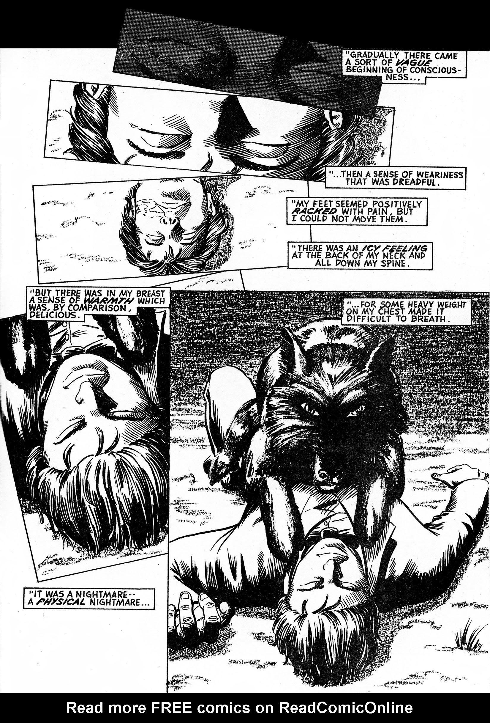 Read online Dracula: The Lady in the Tomb comic -  Issue # Full - 23