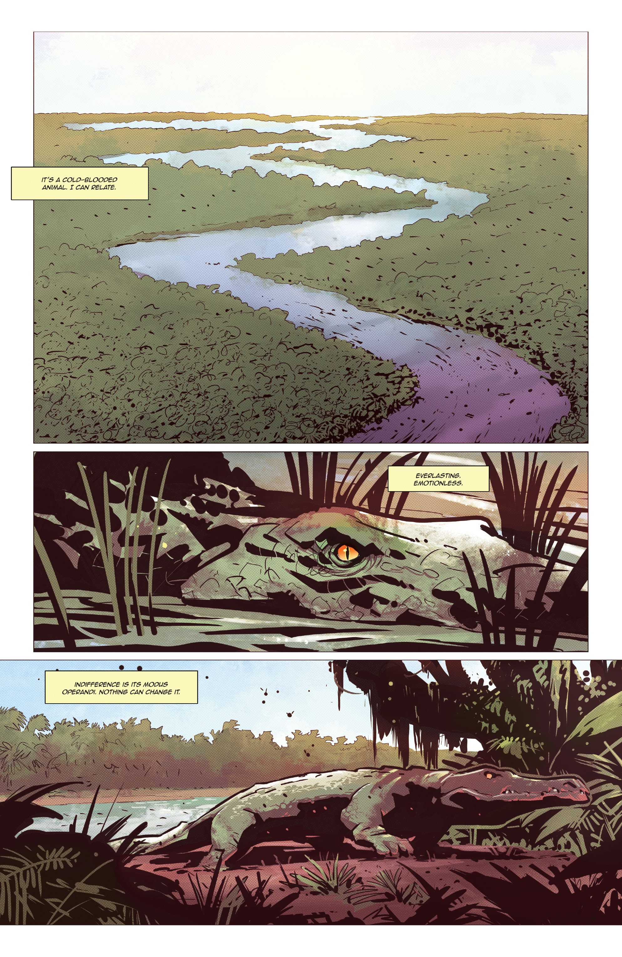 Read online Far Cry: Esperanza's Tears comic -  Issue #1 - 3