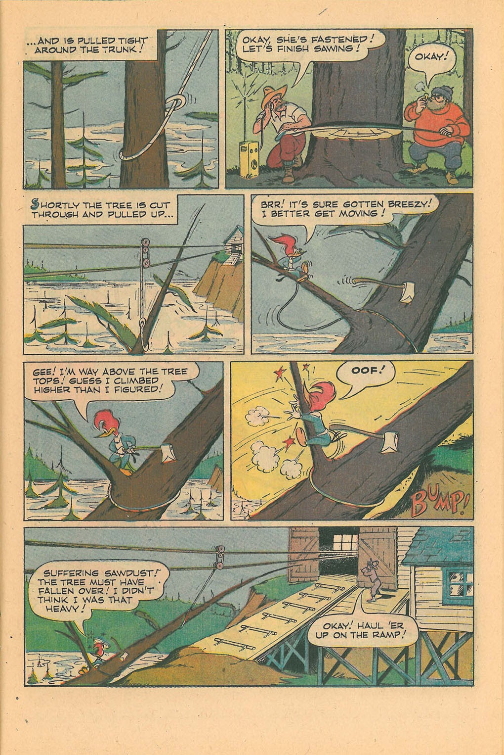Read online Walter Lantz Woody Woodpecker (1962) comic -  Issue #109 - 11