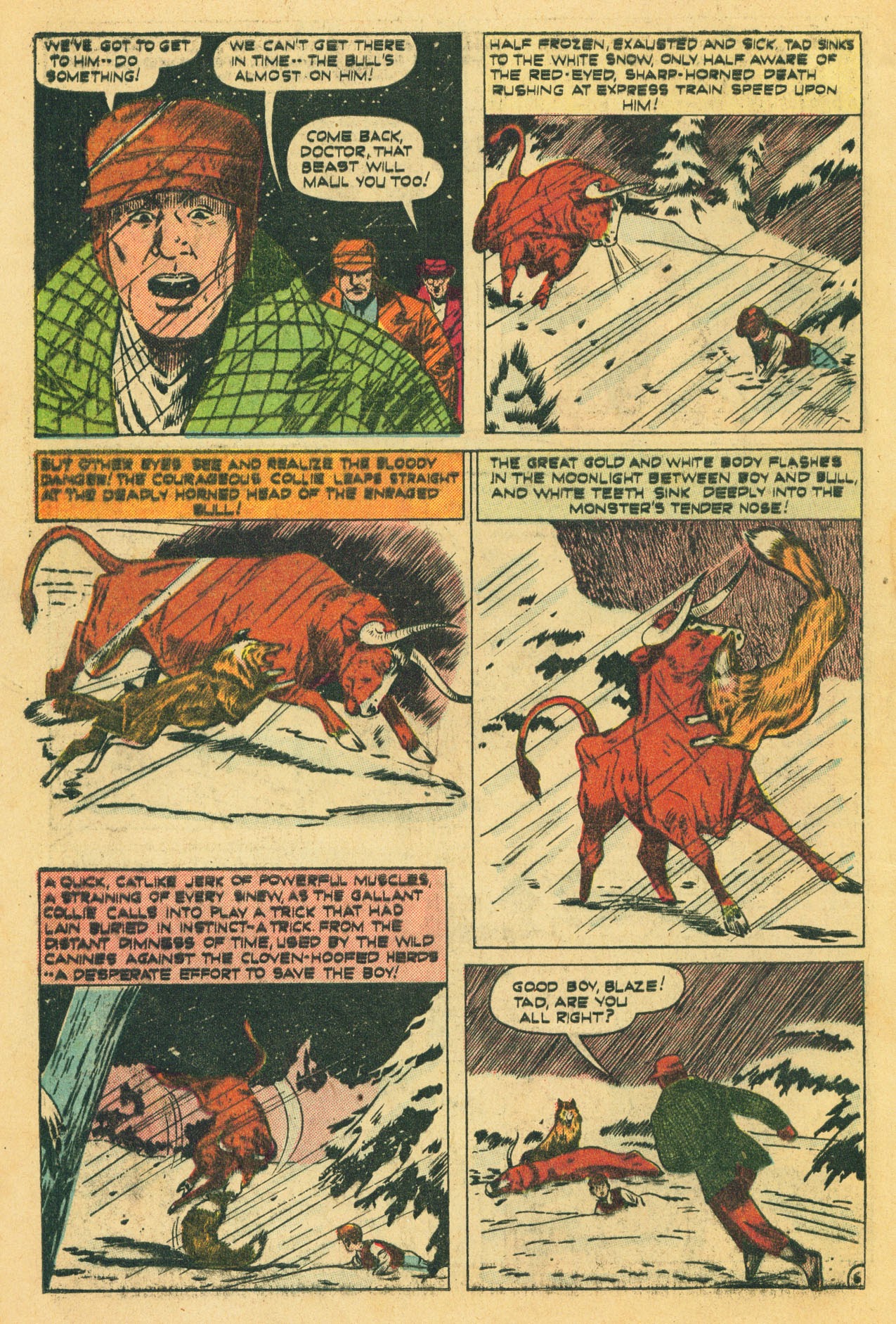 Read online Blaze the Wonder Collie comic -  Issue #3 - 8