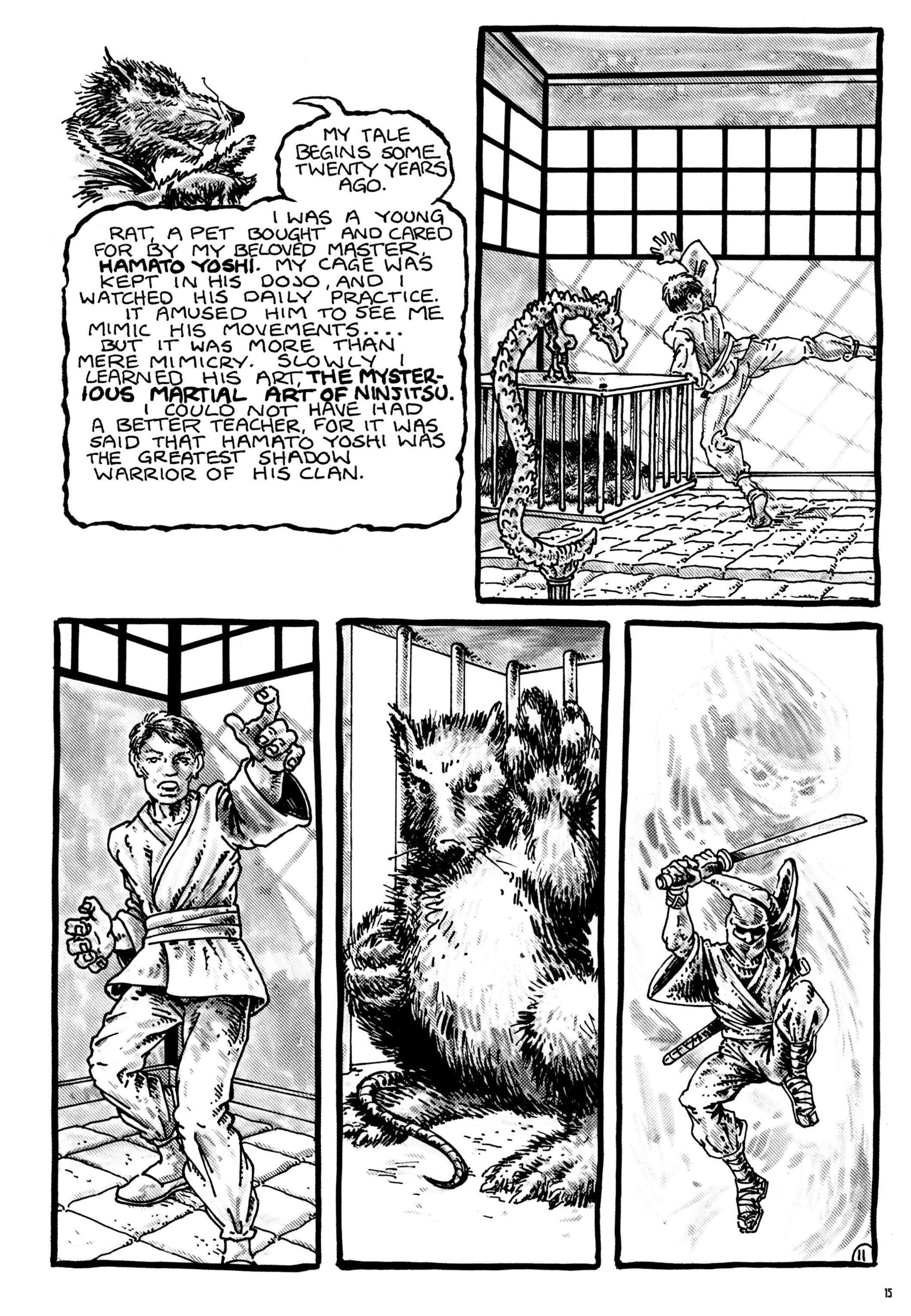 Read online Teenage Mutant Ninja Turtles: The Ultimate Collection comic -  Issue # TPB 1 (Part 1) - 15