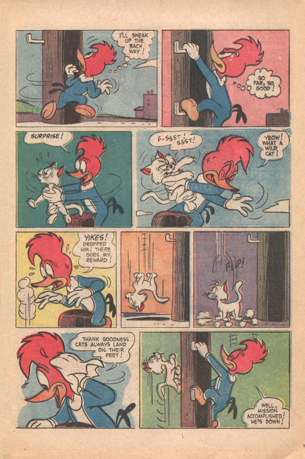 Read online Walter Lantz Woody Woodpecker (1962) comic -  Issue #113 - 13