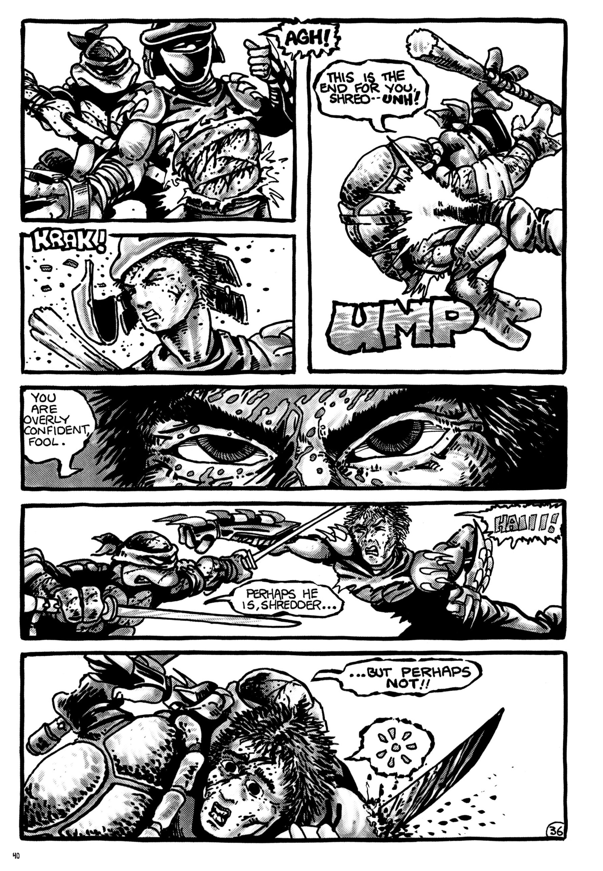 Read online Teenage Mutant Ninja Turtles: The Ultimate Collection comic -  Issue # TPB 1 (Part 1) - 39