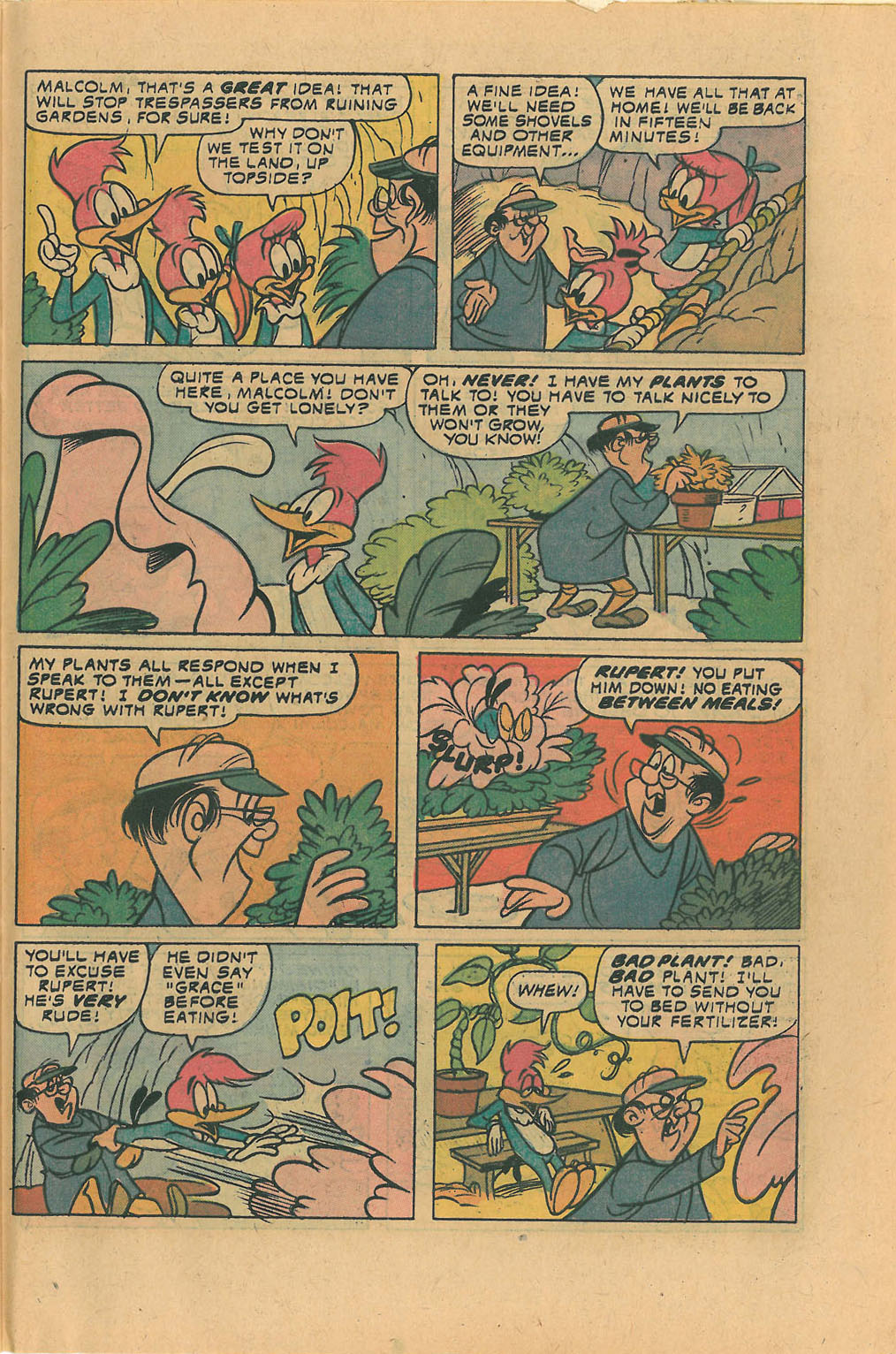 Read online Walter Lantz Woody Woodpecker (1962) comic -  Issue #140 - 31
