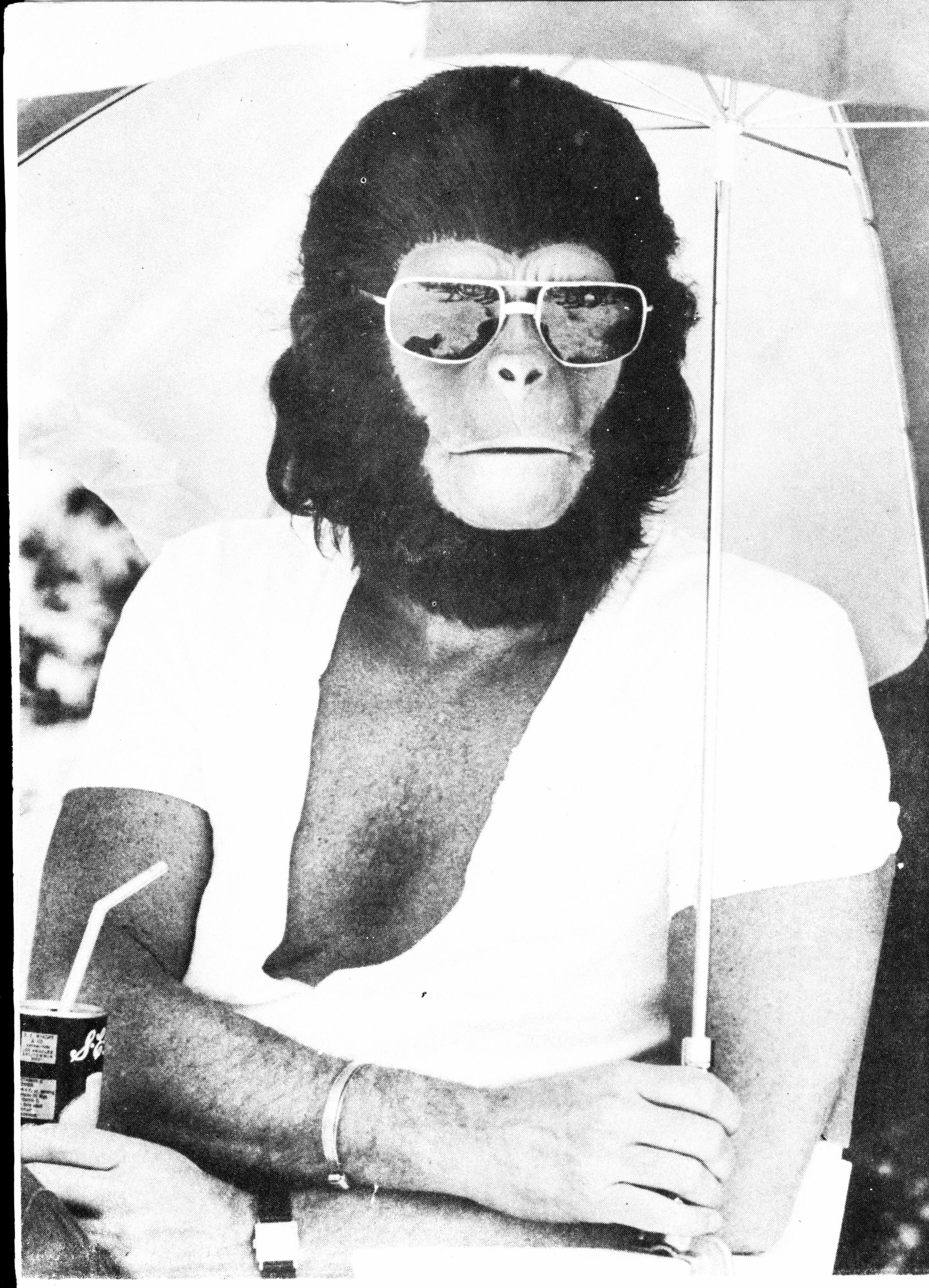Read online Planet of the Apes (1974) comic -  Issue #16 - 11