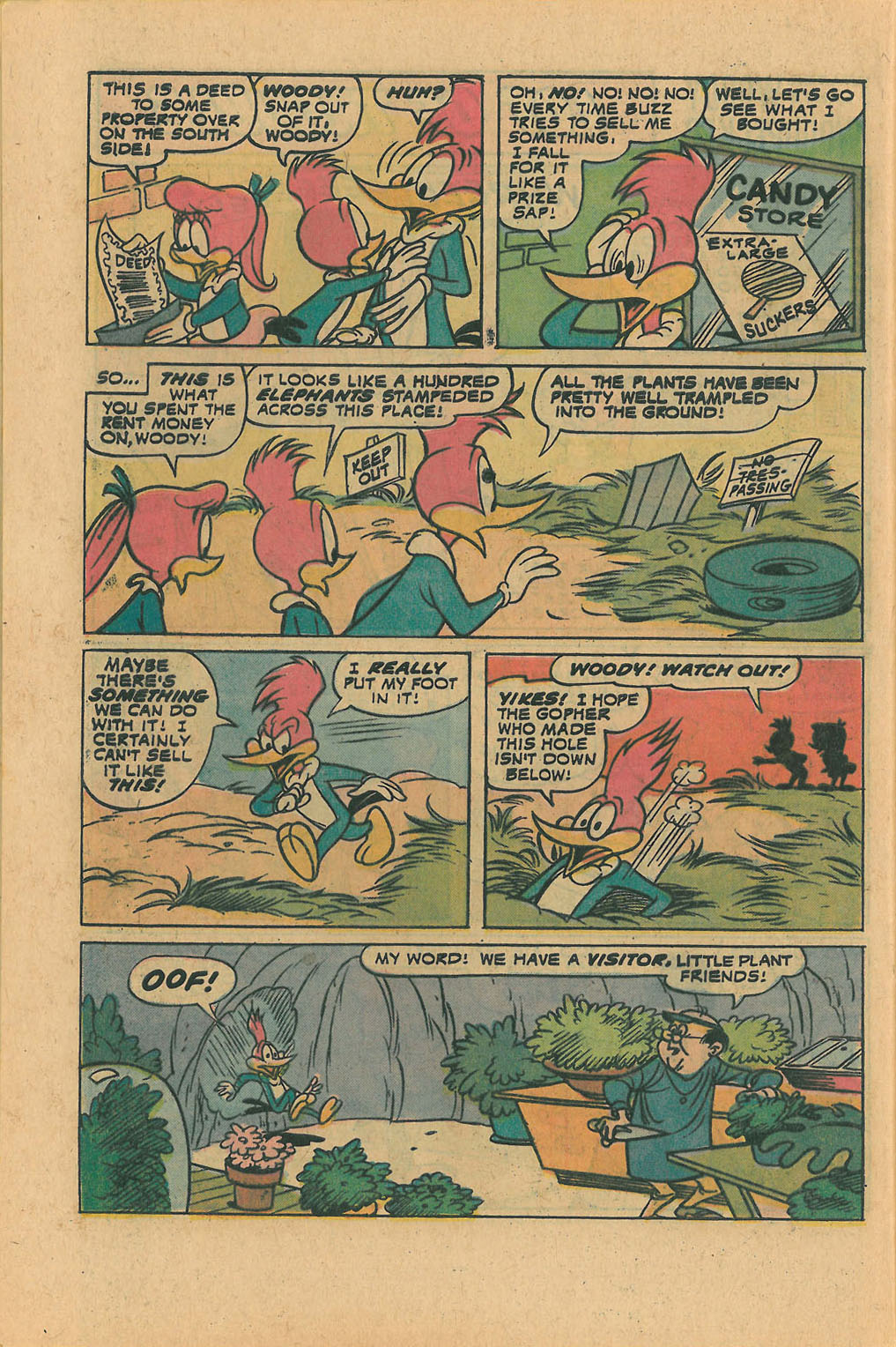 Read online Walter Lantz Woody Woodpecker (1962) comic -  Issue #140 - 28