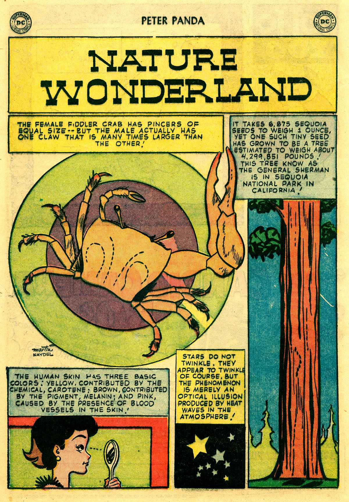 Read online Peter Panda comic -  Issue #3 - 20