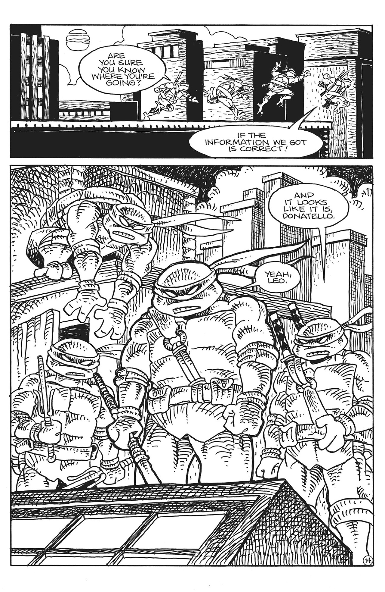 Read online Teenage Mutant Ninja Turtles/Usagi Yojimbo: WhereWhen #1: Director’s Cut comic -  Issue #1: Director’s Cut Full - 15